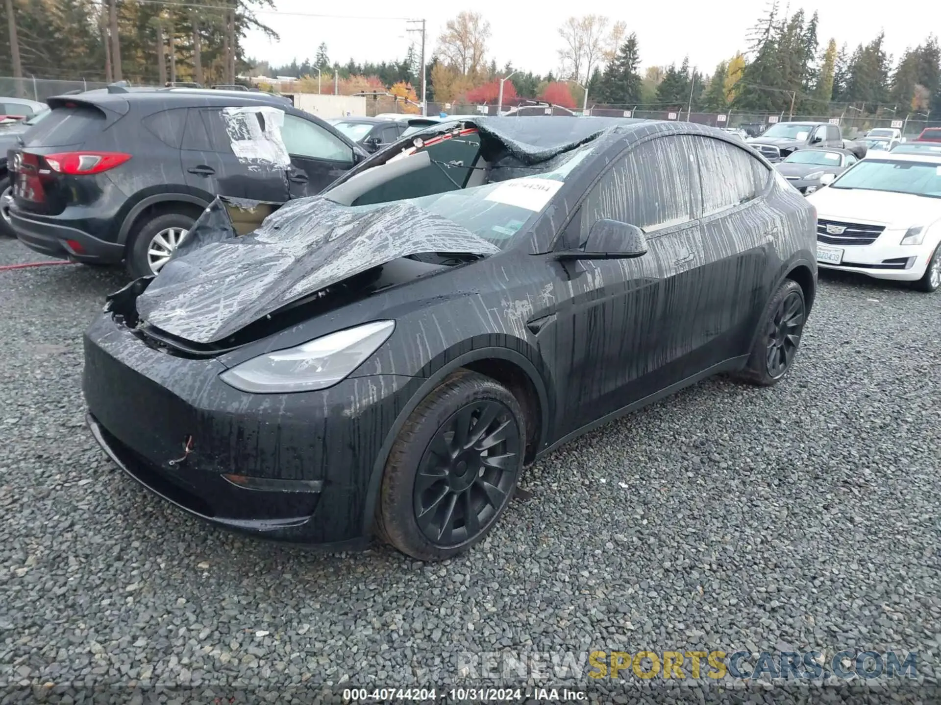 2 Photograph of a damaged car 7SAYGAEE8PF838946 TESLA MODEL Y 2023