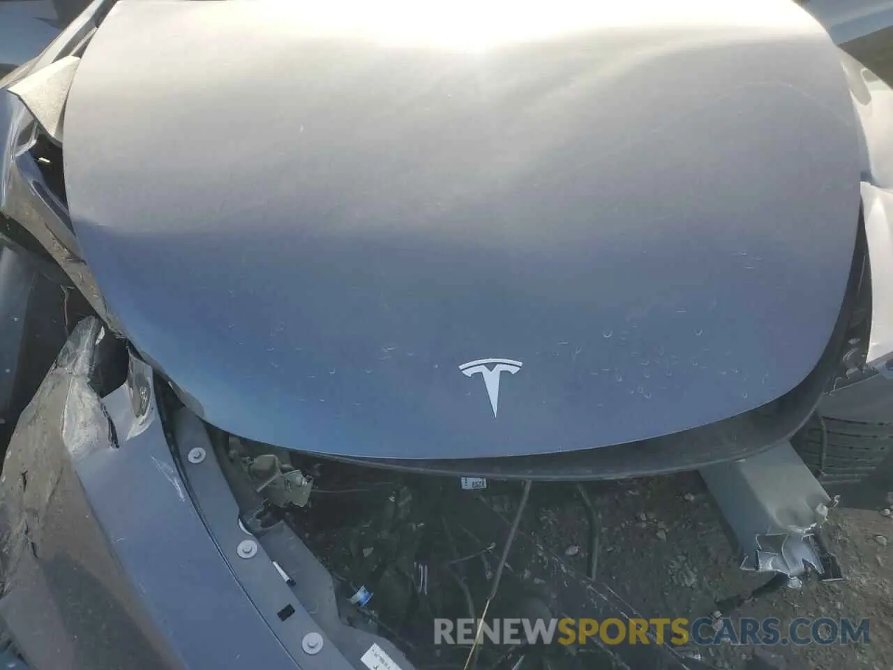 13 Photograph of a damaged car 7SAYGAEE8PF902046 TESLA MODEL Y 2023