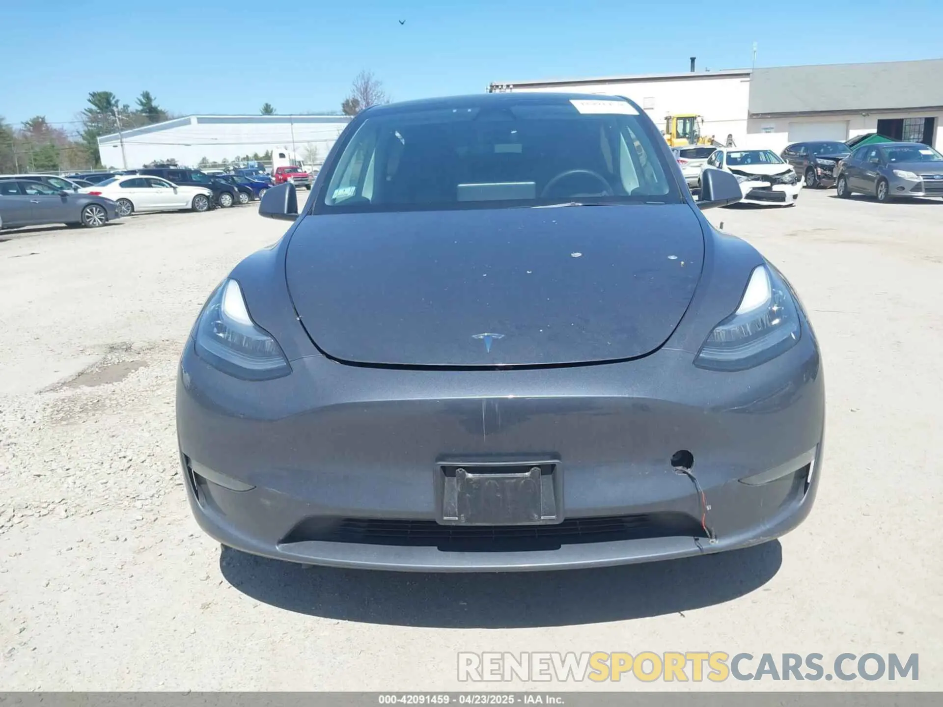 12 Photograph of a damaged car 7SAYGDEE0PA033019 TESLA MODEL Y 2023