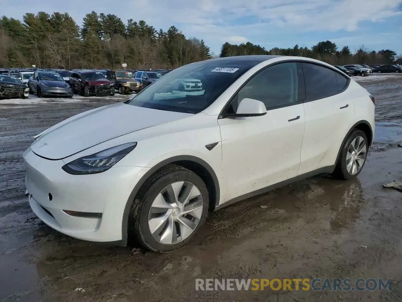 1 Photograph of a damaged car 7SAYGDEE0PA116790 TESLA MODEL Y 2023
