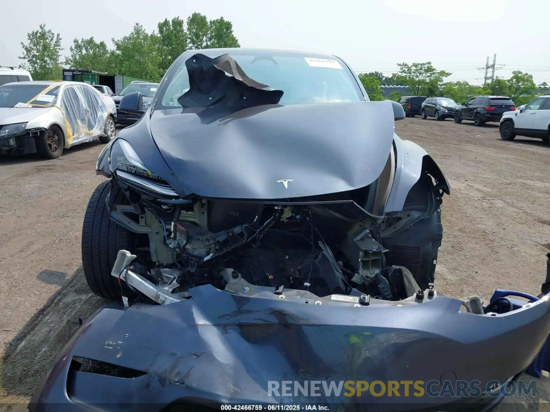 12 Photograph of a damaged car 7SAYGDEE0PA129376 TESLA MODEL Y 2023