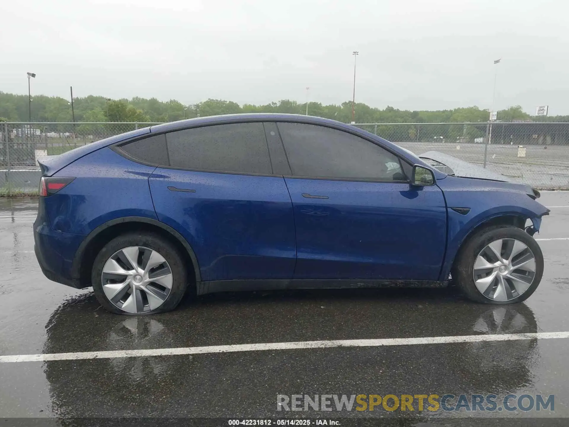 12 Photograph of a damaged car 7SAYGDEE0PA130639 TESLA MODEL Y 2023