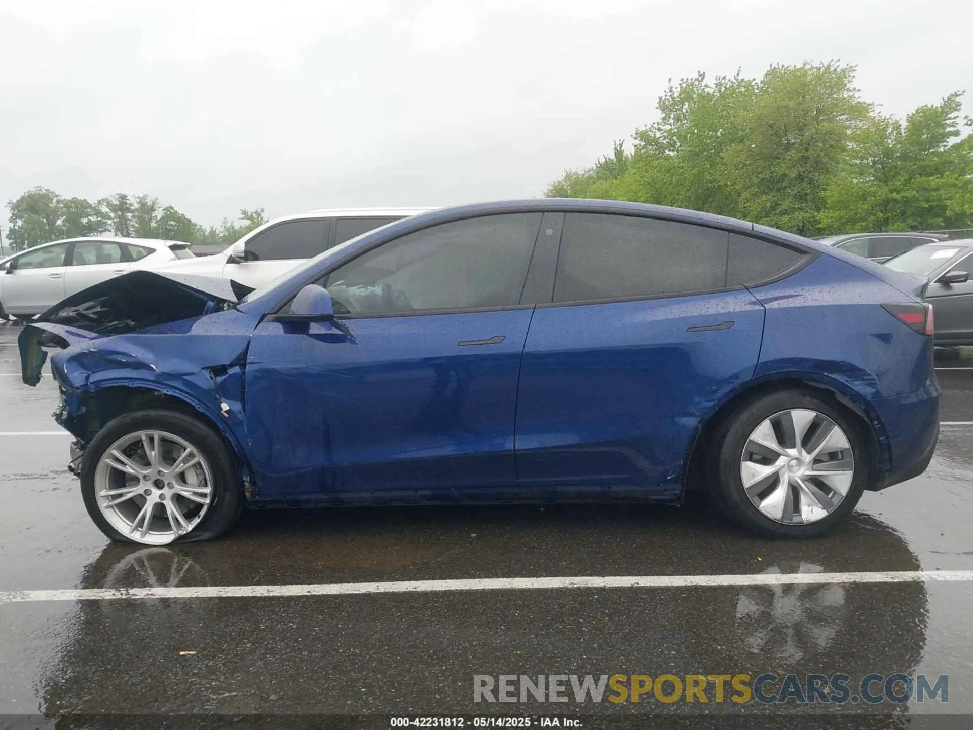 13 Photograph of a damaged car 7SAYGDEE0PA130639 TESLA MODEL Y 2023