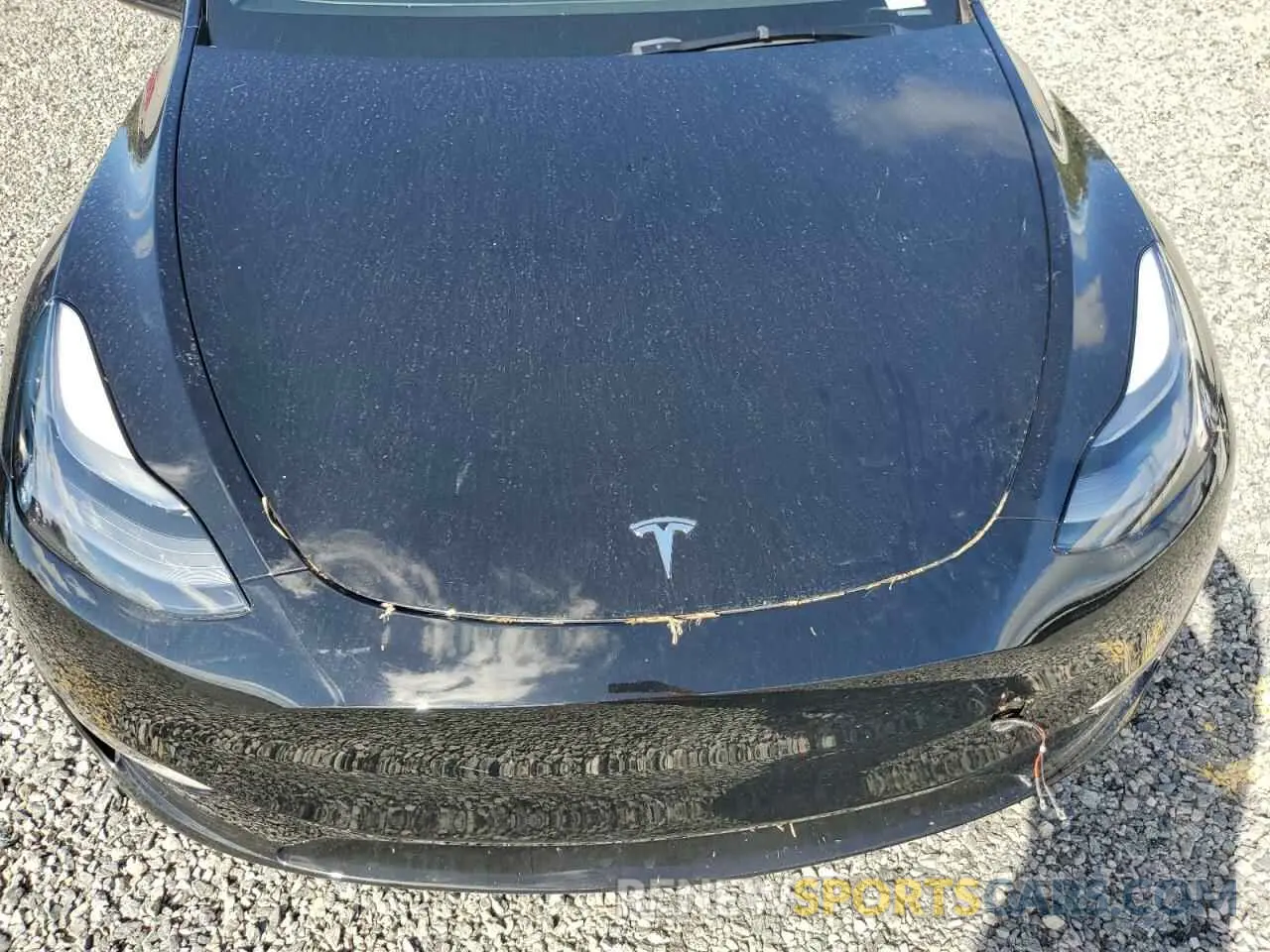 11 Photograph of a damaged car 7SAYGDEE0PA181512 TESLA MODEL Y 2023