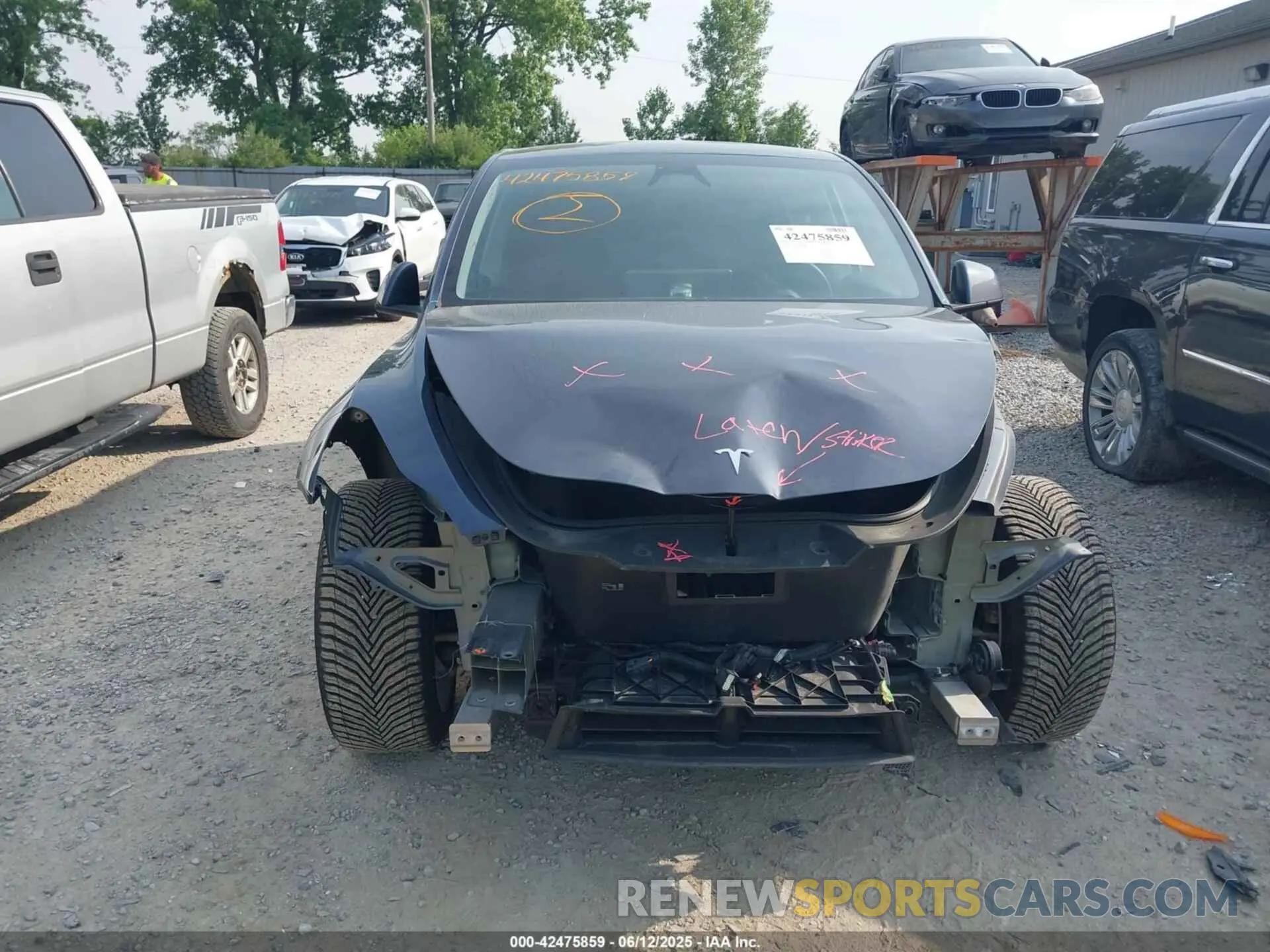 11 Photograph of a damaged car 7SAYGDEE0PA188508 TESLA MODEL Y 2023