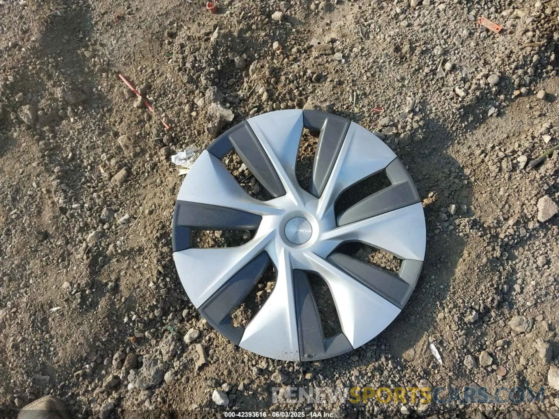 12 Photograph of a damaged car 7SAYGDEE0PF671726 TESLA MODEL Y 2023