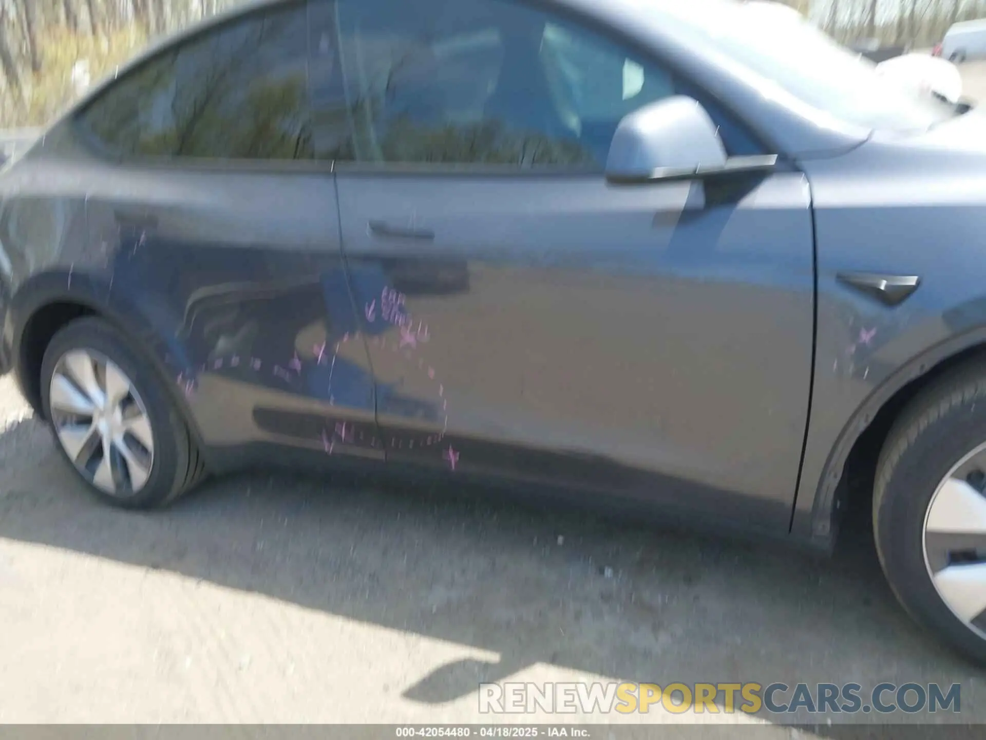 13 Фотография поврежденного автомобиля 7SAYGDEE0PF977874 TESLA MODEL Y 2023