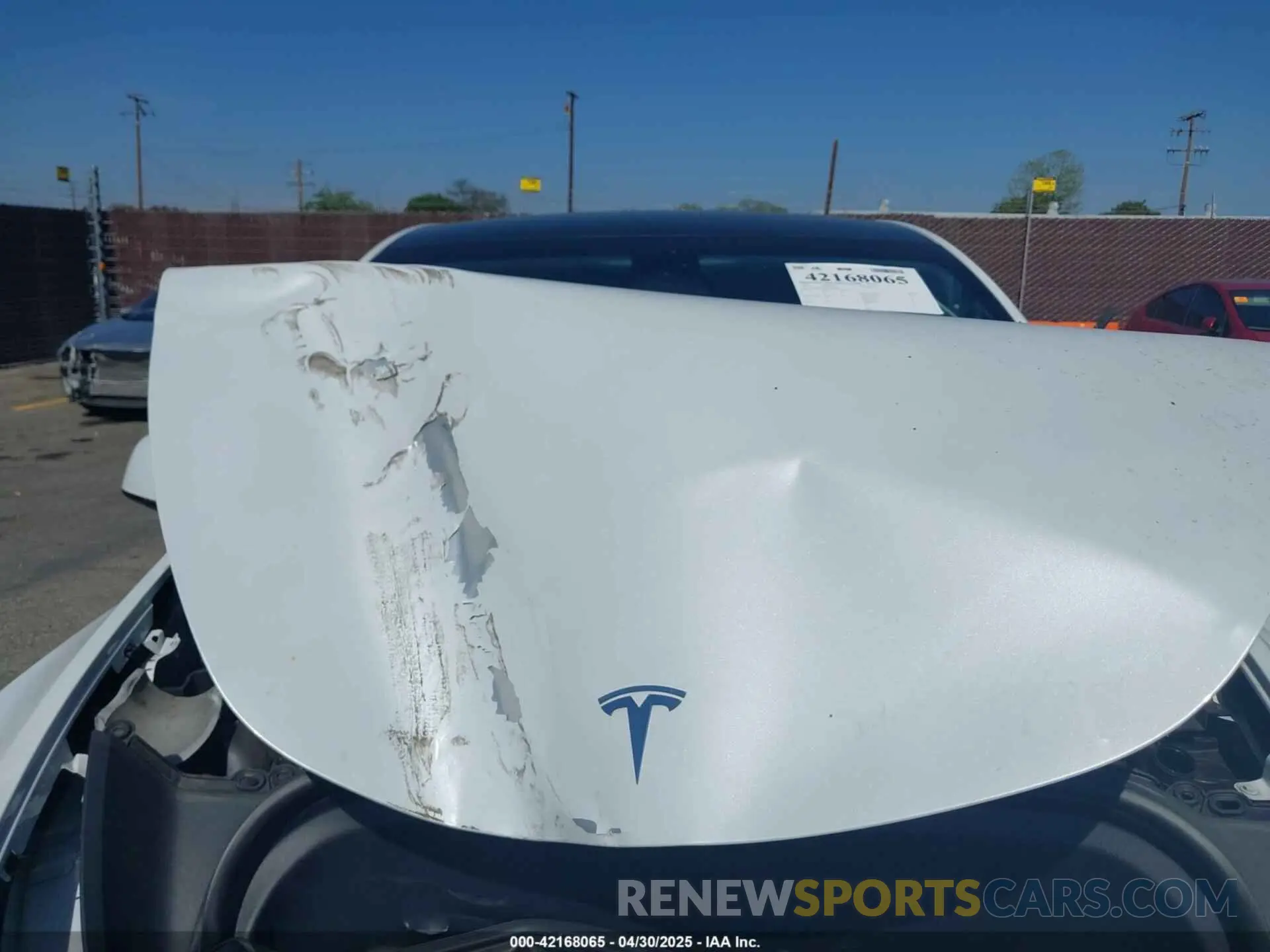 10 Photograph of a damaged car 7SAYGDEE1PA034664 TESLA MODEL Y 2023