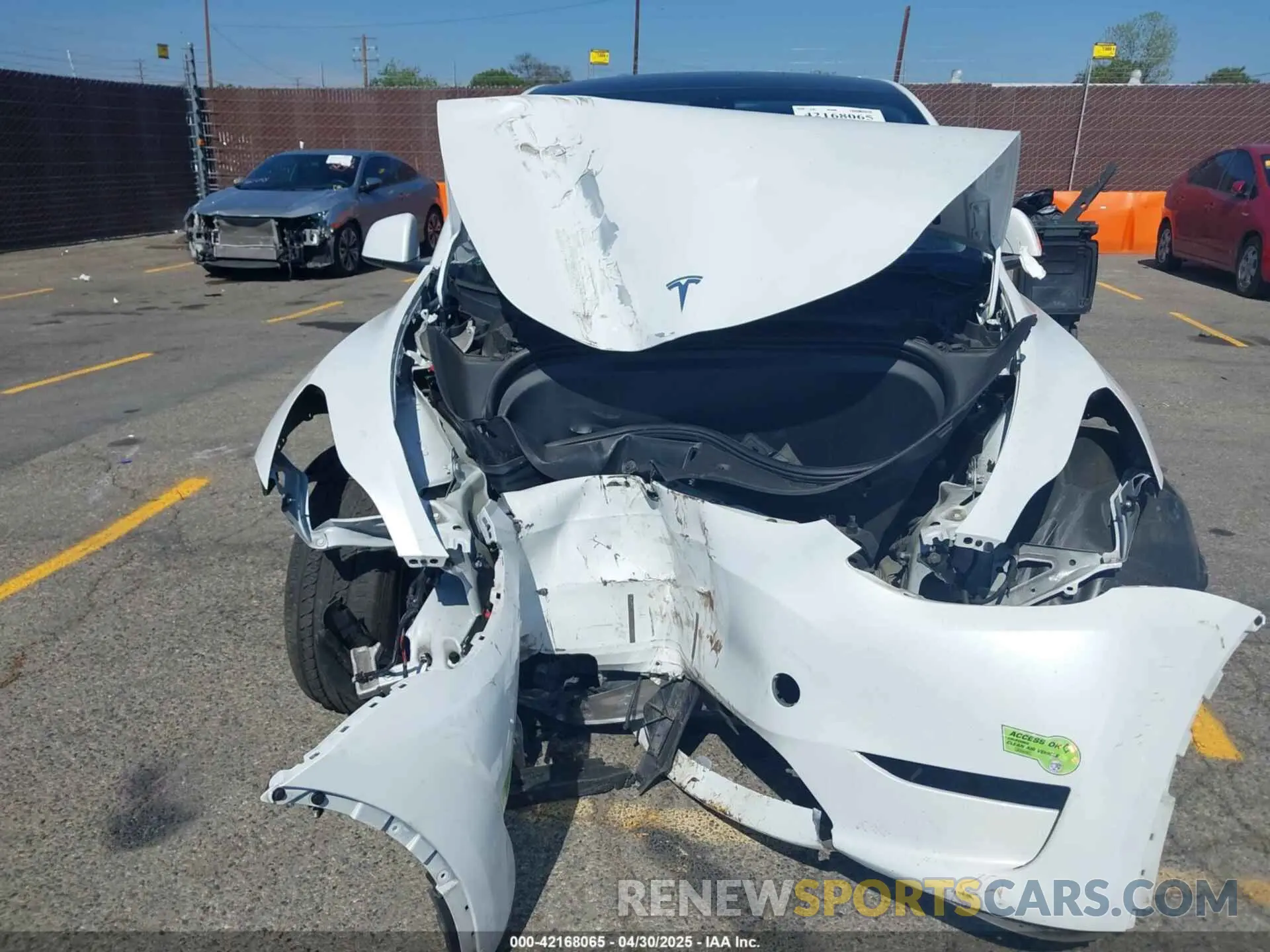 11 Photograph of a damaged car 7SAYGDEE1PA034664 TESLA MODEL Y 2023