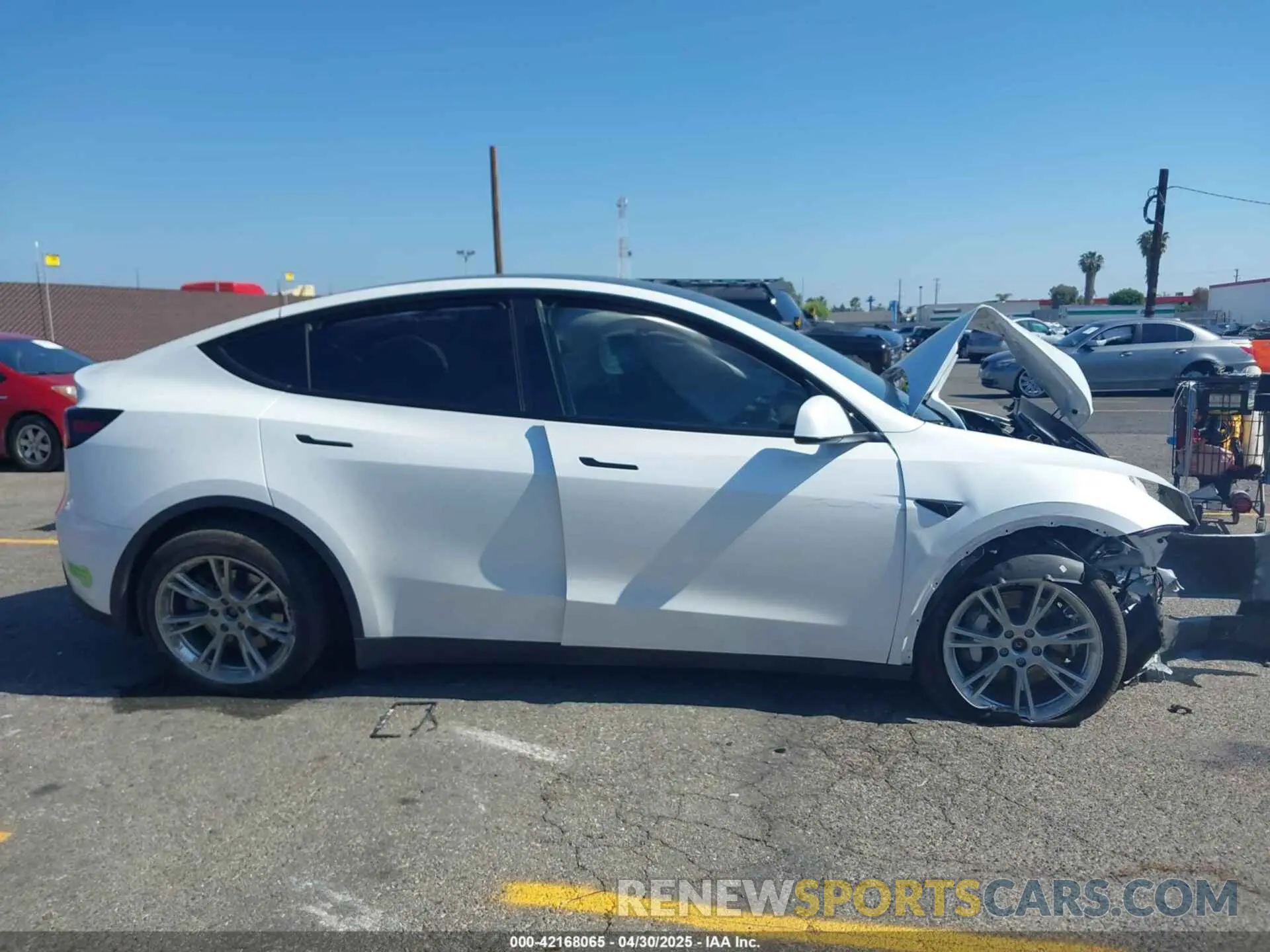 12 Photograph of a damaged car 7SAYGDEE1PA034664 TESLA MODEL Y 2023
