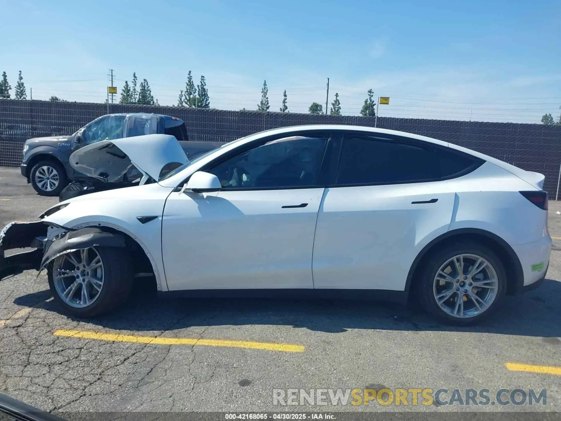 13 Photograph of a damaged car 7SAYGDEE1PA034664 TESLA MODEL Y 2023