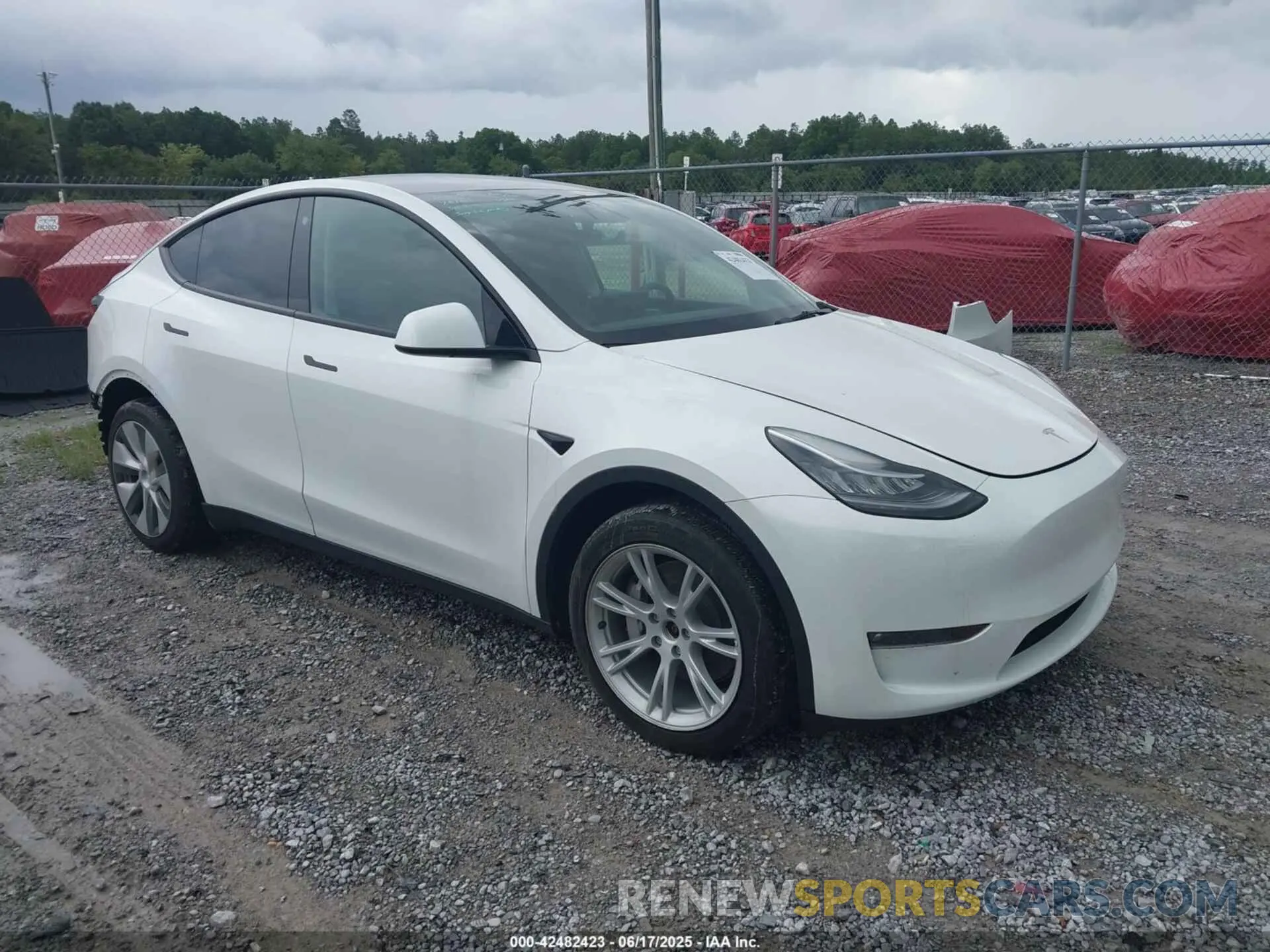 1 Фотография поврежденного автомобиля 7SAYGDEE1PF610661 TESLA MODEL Y 2023