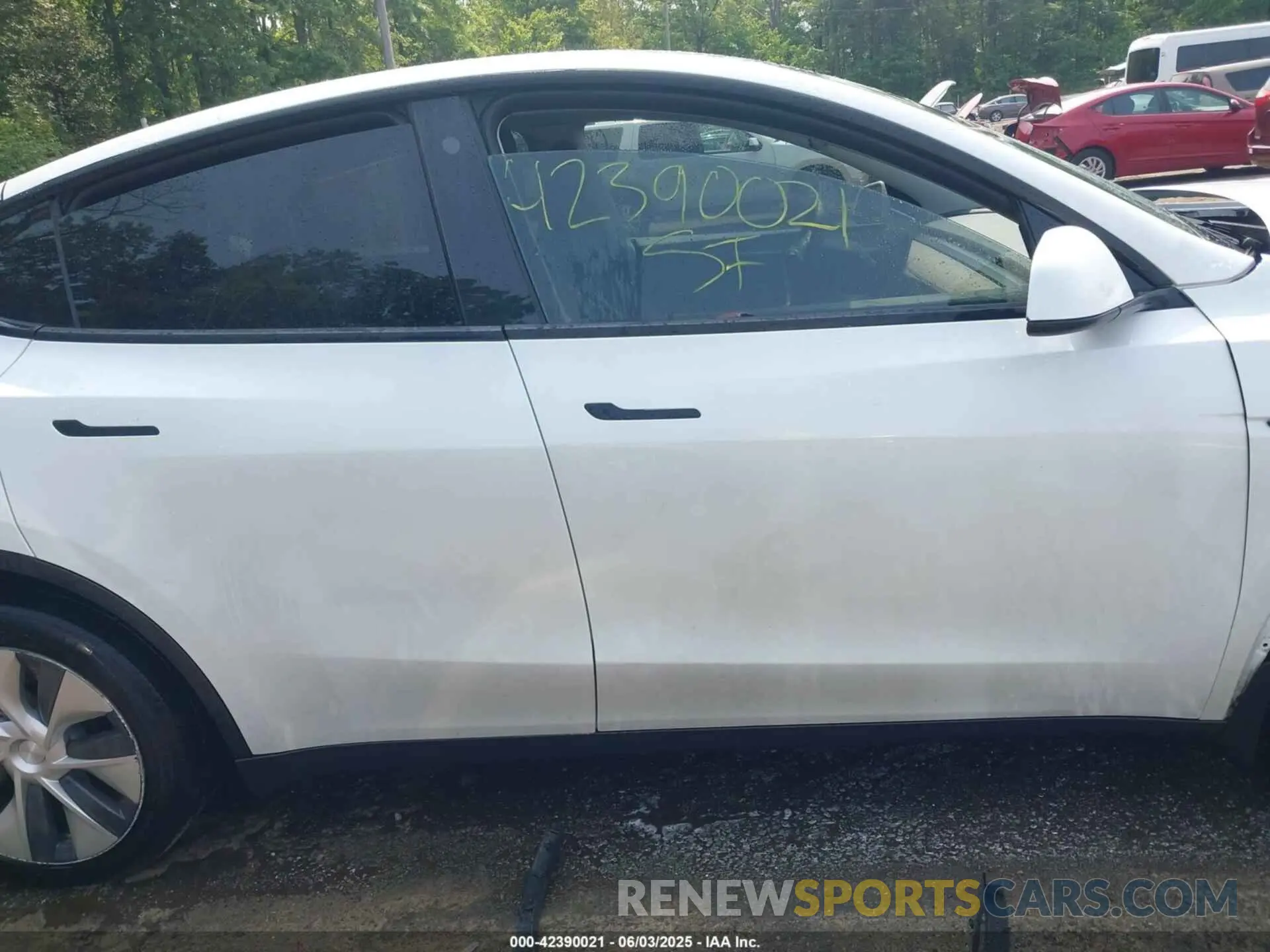 12 Photograph of a damaged car 7SAYGDEE1PF647564 TESLA MODEL Y 2023
