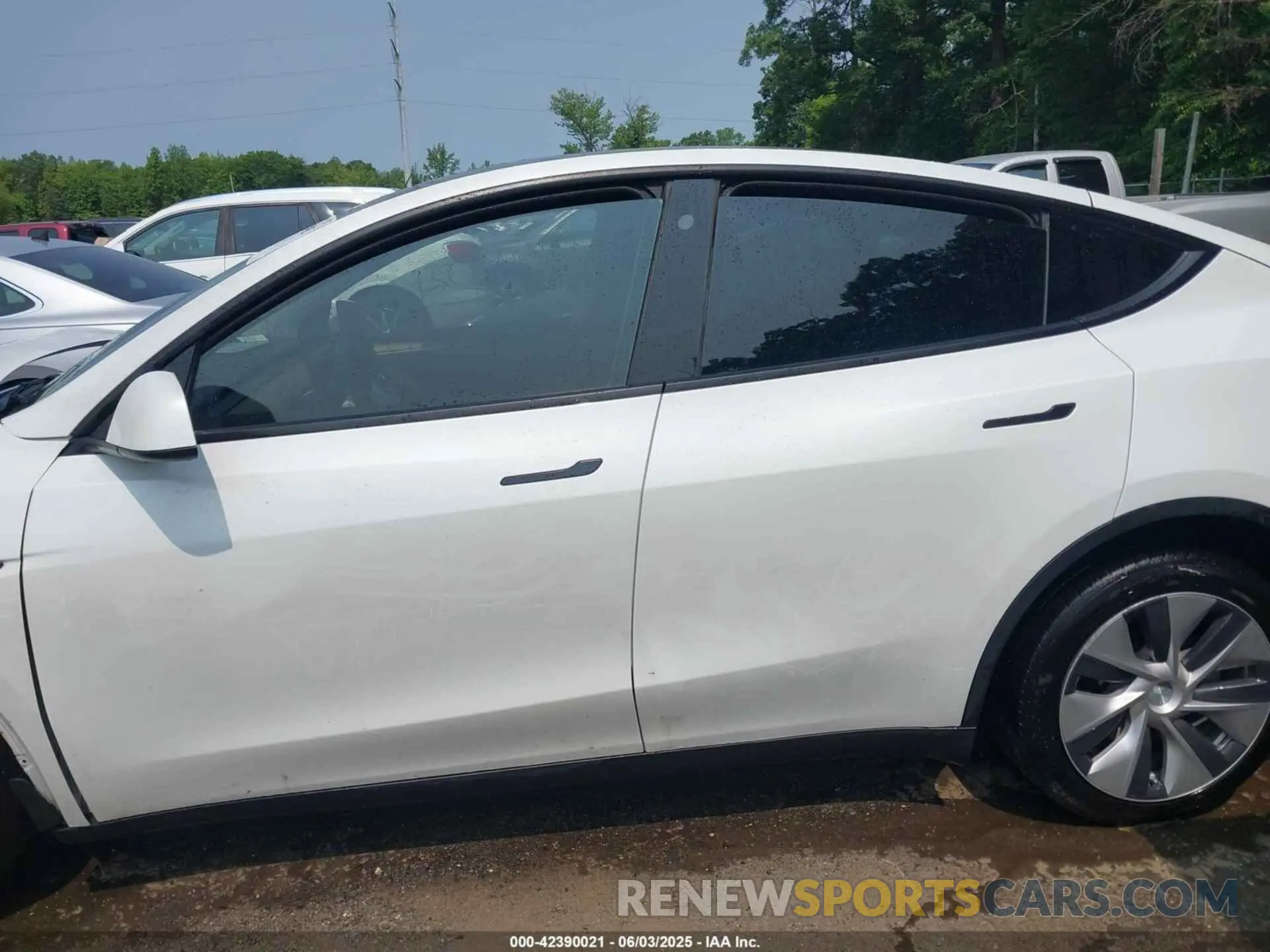 13 Photograph of a damaged car 7SAYGDEE1PF647564 TESLA MODEL Y 2023