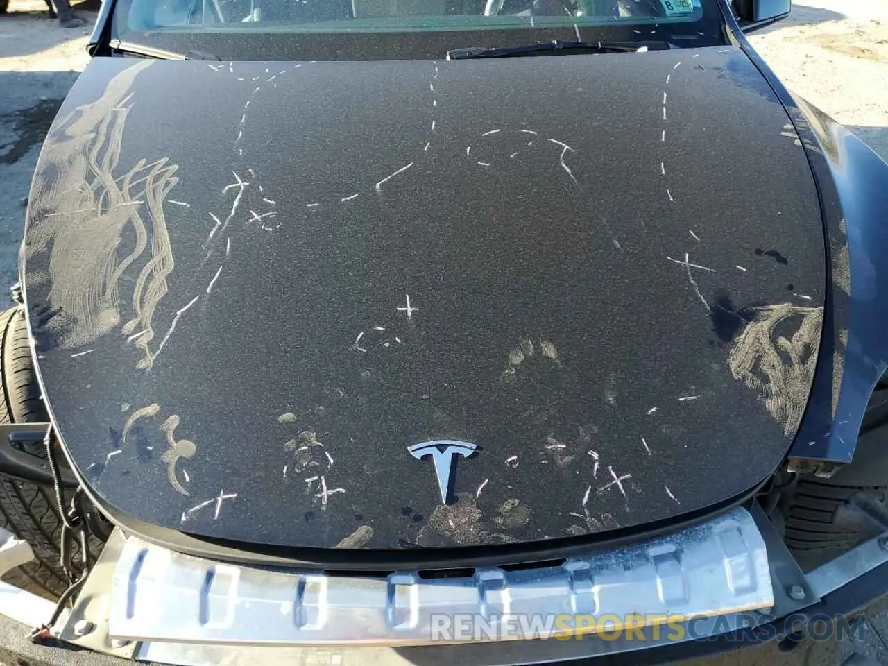 12 Photograph of a damaged car 7SAYGDEE1PF849210 TESLA MODEL Y 2023