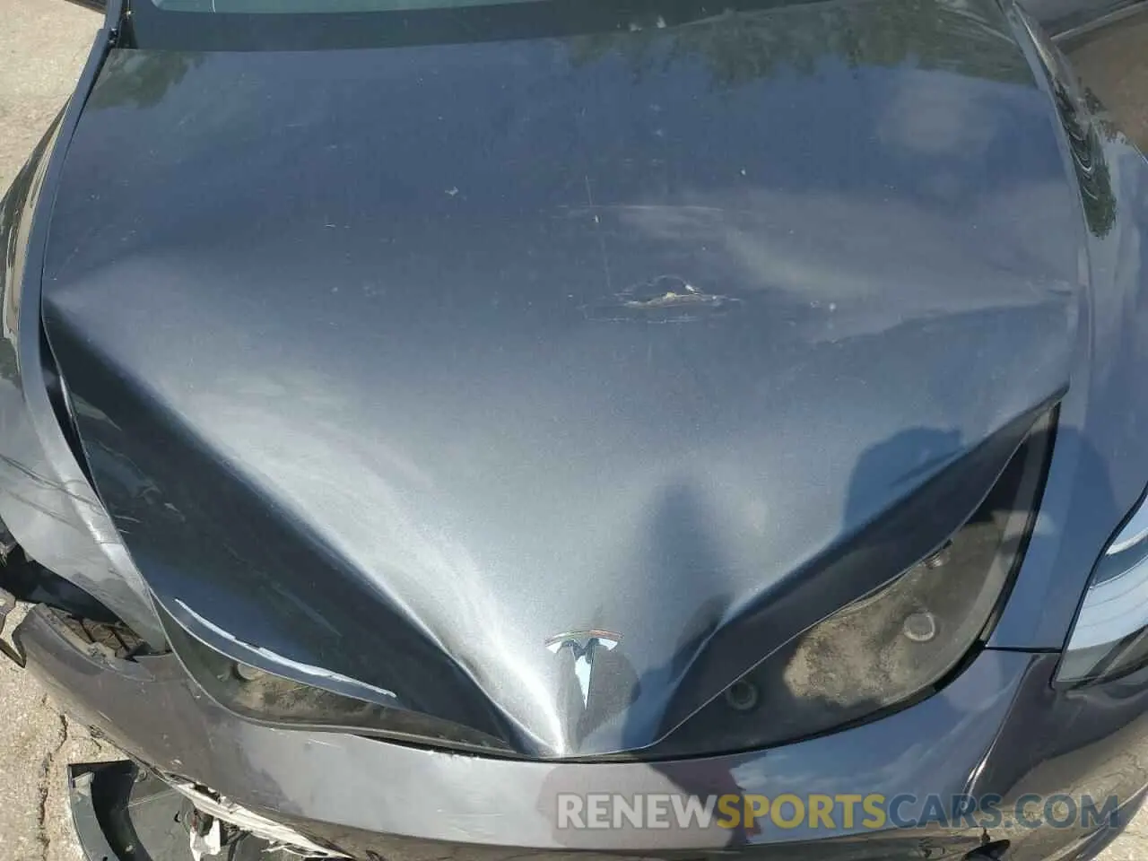 11 Photograph of a damaged car 7SAYGDEE2PA041350 TESLA MODEL Y 2023