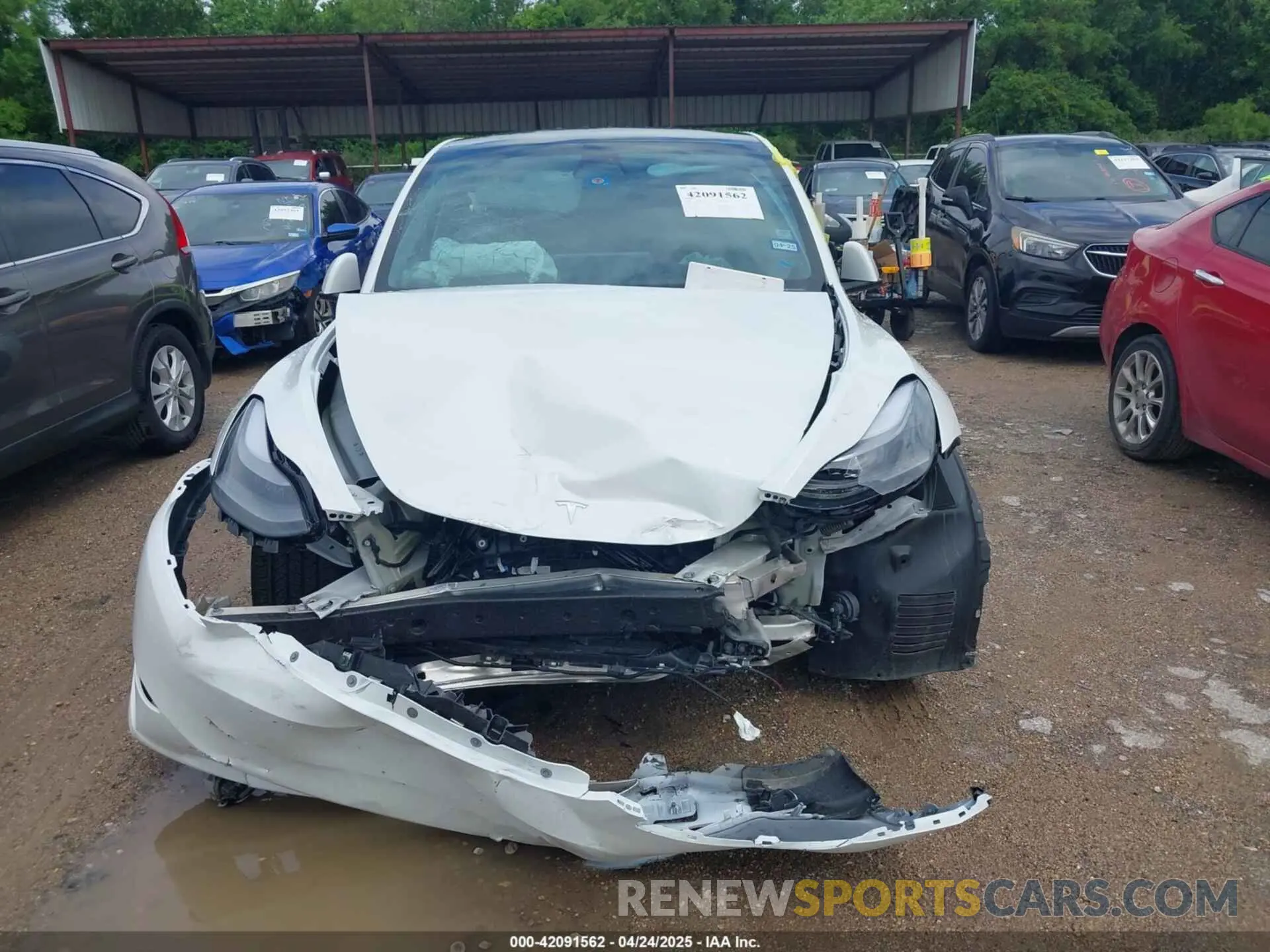 11 Photograph of a damaged car 7SAYGDEE2PA114703 TESLA MODEL Y 2023