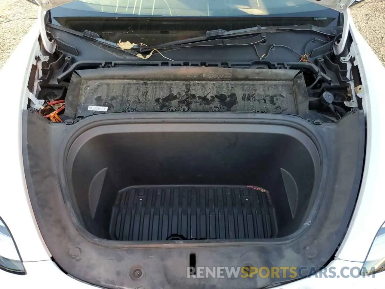 12 Photograph of a damaged car 7SAYGDEE2PA144882 TESLA MODEL Y 2023
