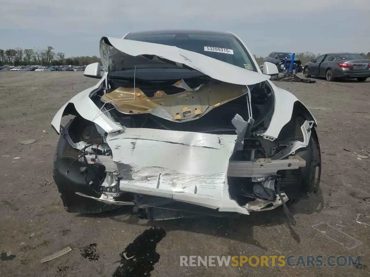 5 Photograph of a damaged car 7SAYGDEE2PF675745 TESLA MODEL Y 2023