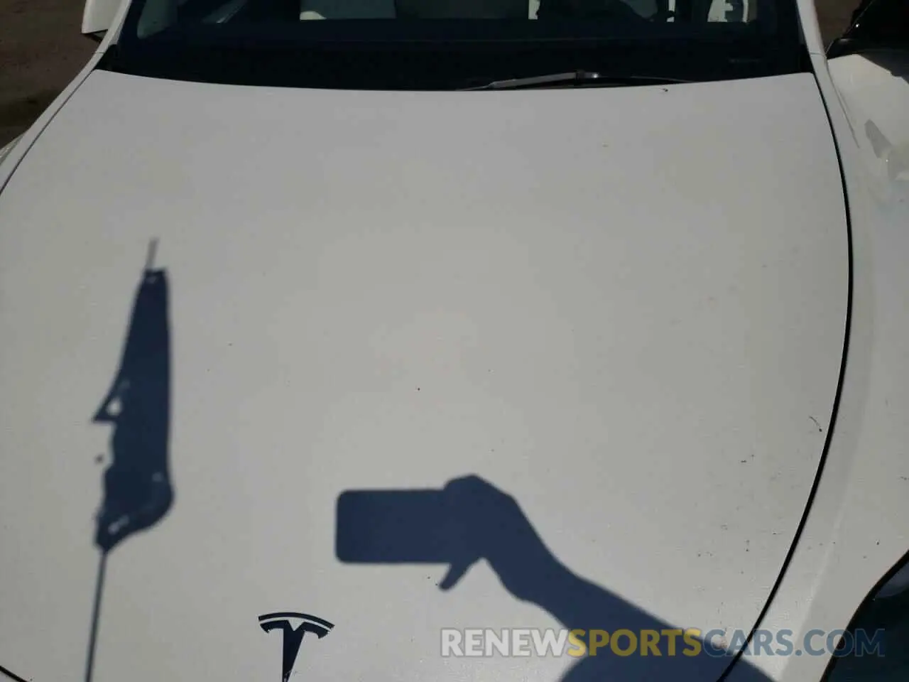 11 Photograph of a damaged car 7SAYGDEE2PF757572 TESLA MODEL Y 2023