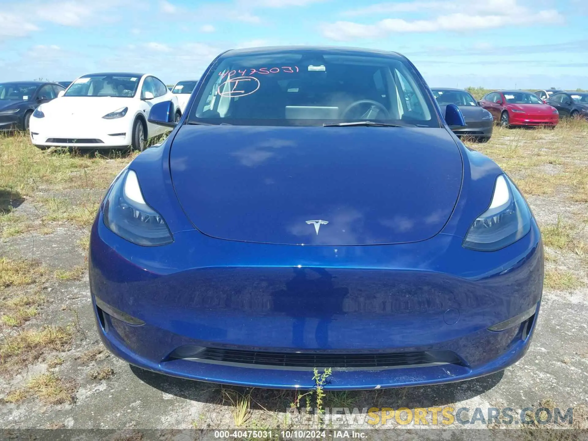 11 Photograph of a damaged car 7SAYGDEE2PF883334 TESLA MODEL Y 2023