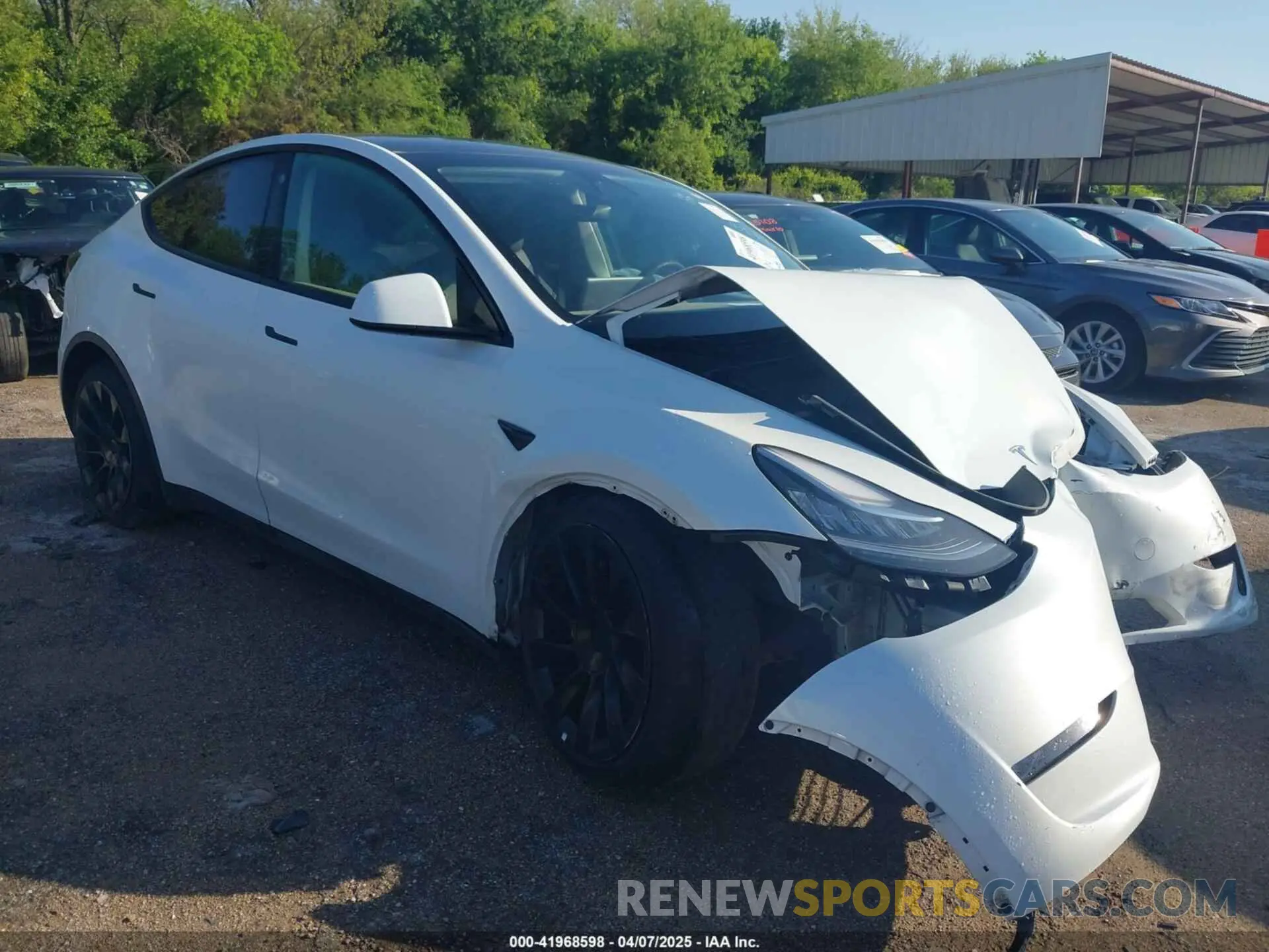 1 Photograph of a damaged car 7SAYGDEE3PA054706 TESLA MODEL Y 2023