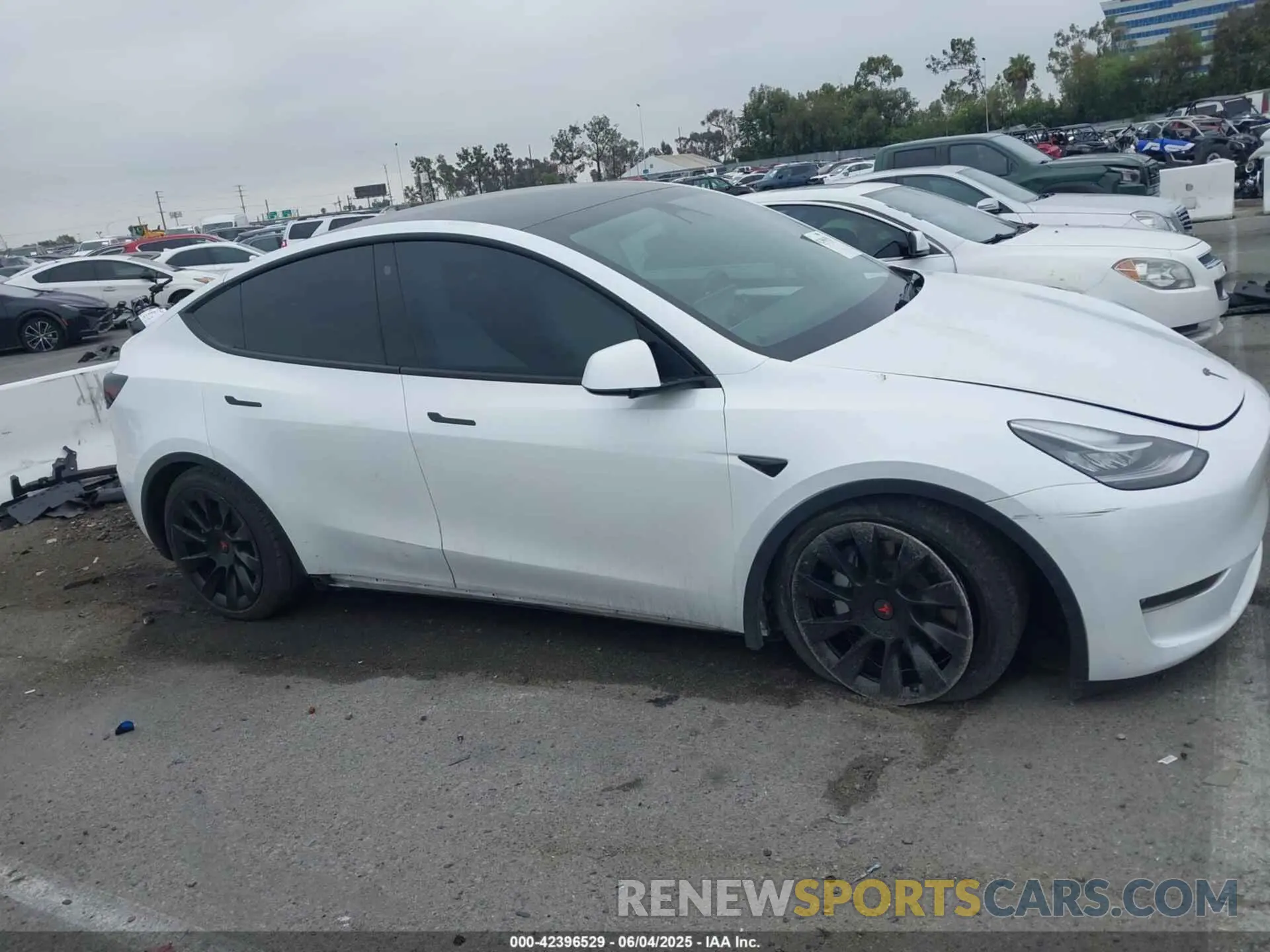 12 Photograph of a damaged car 7SAYGDEE3PA055497 TESLA MODEL Y 2023