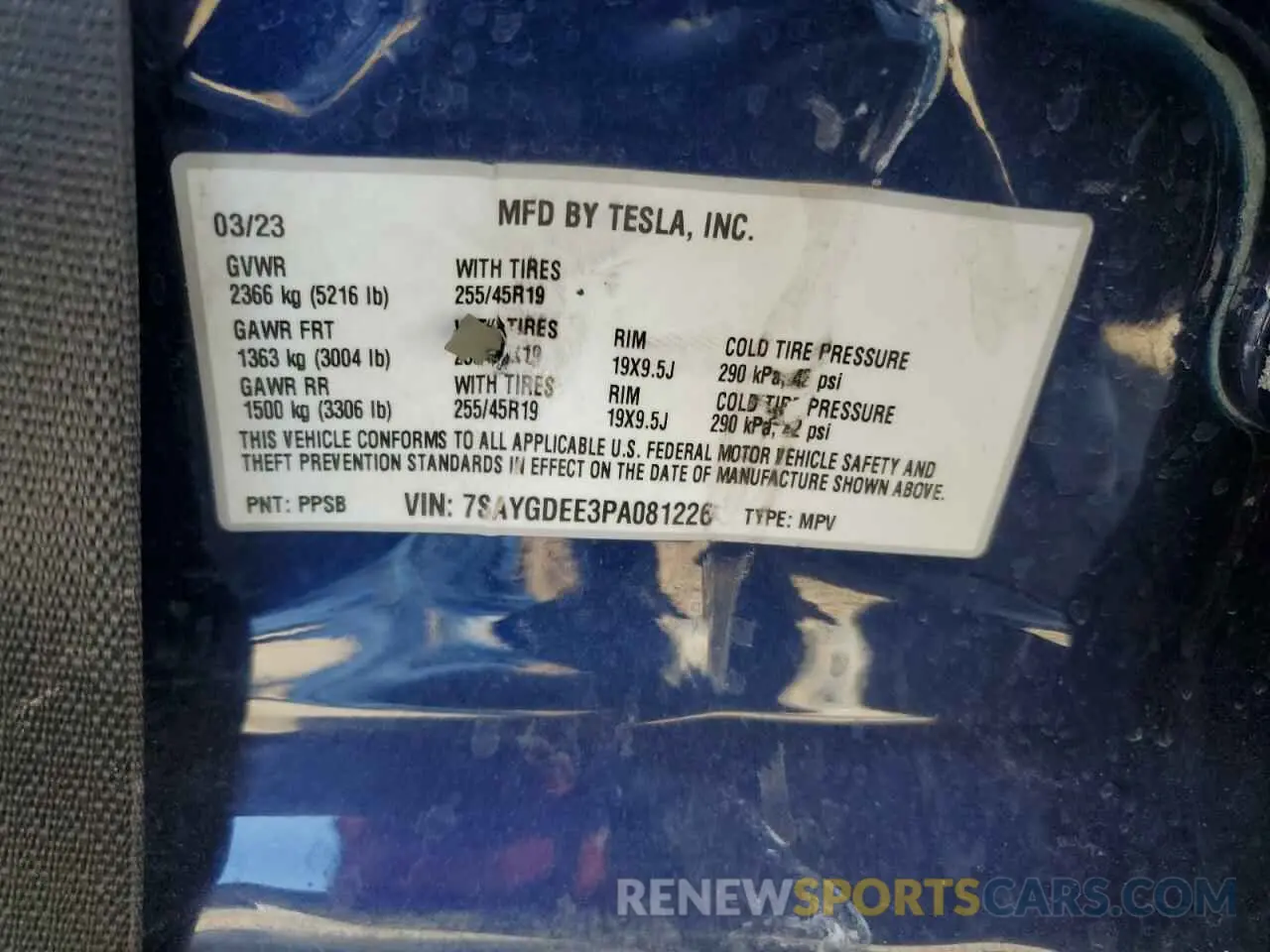 13 Photograph of a damaged car 7SAYGDEE3PA081226 TESLA MODEL Y 2023