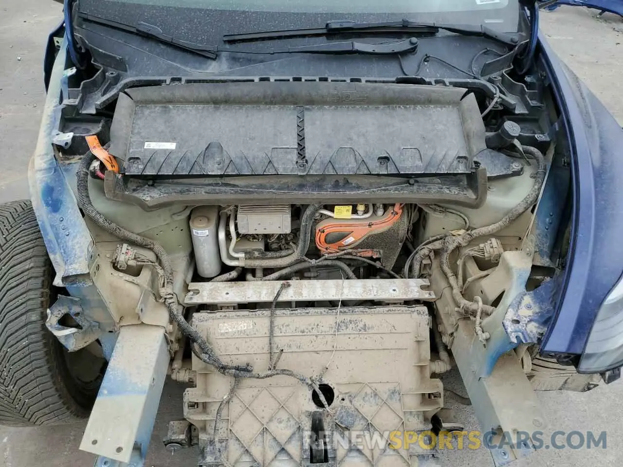 12 Photograph of a damaged car 7SAYGDEE3PF710356 TESLA MODEL Y 2023