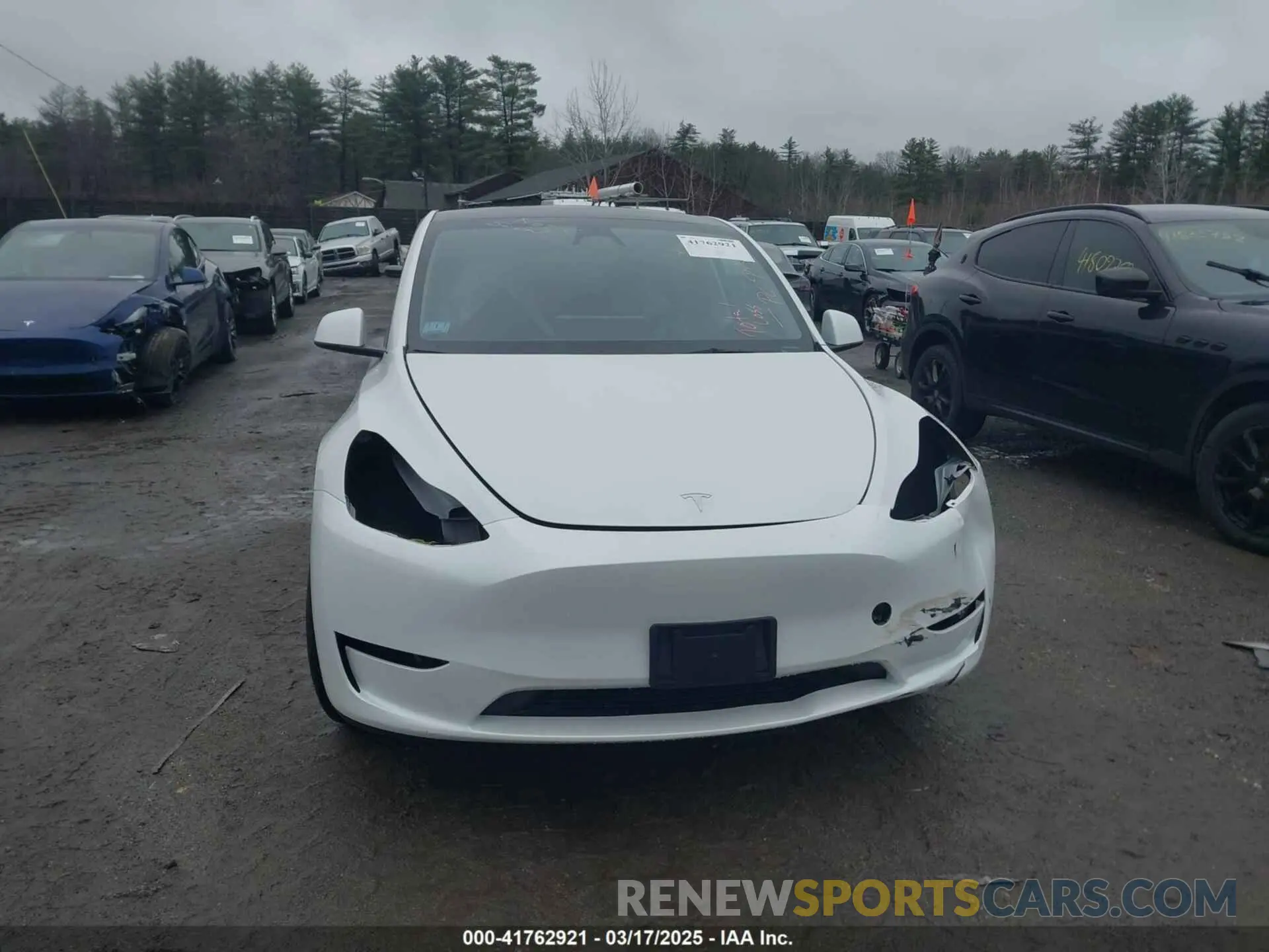 13 Photograph of a damaged car 7SAYGDEE3PF857633 TESLA MODEL Y 2023