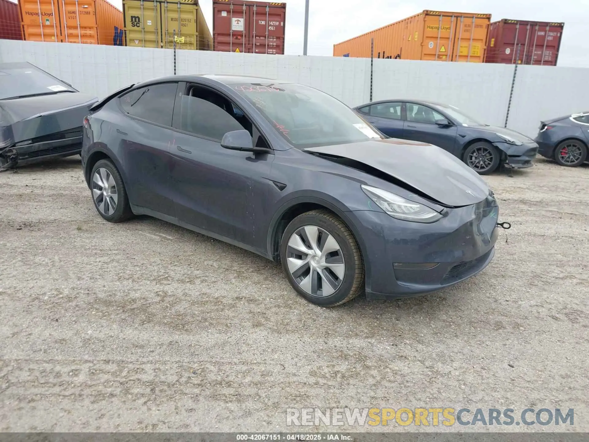 1 Фотография поврежденного автомобиля 7SAYGDEE4PA147444 TESLA MODEL Y 2023