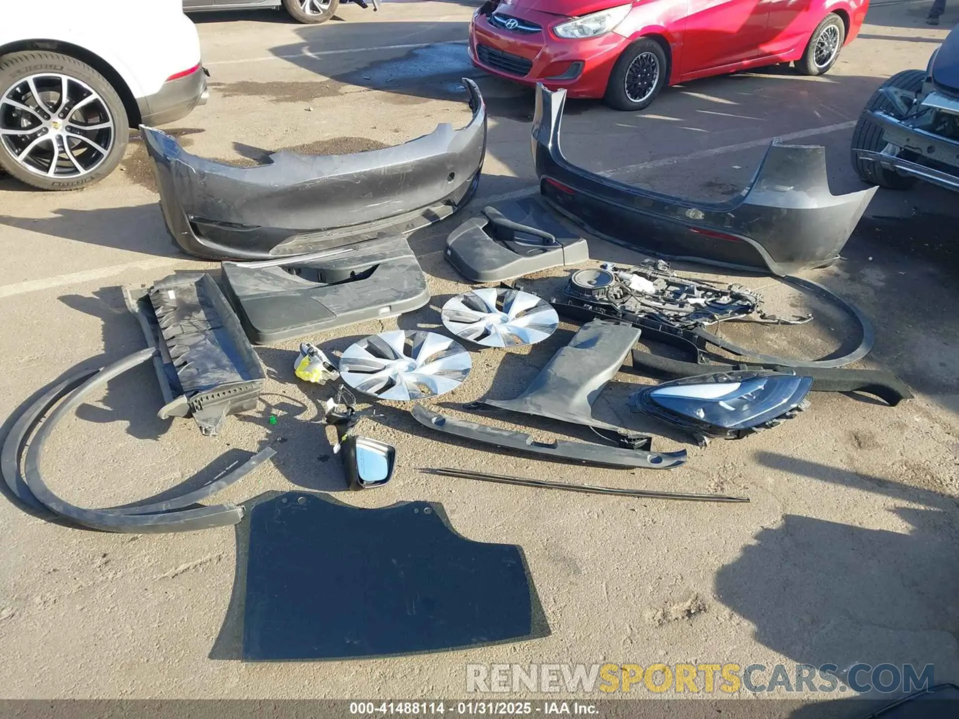 11 Photograph of a damaged car 7SAYGDEE4PA181013 TESLA MODEL Y 2023