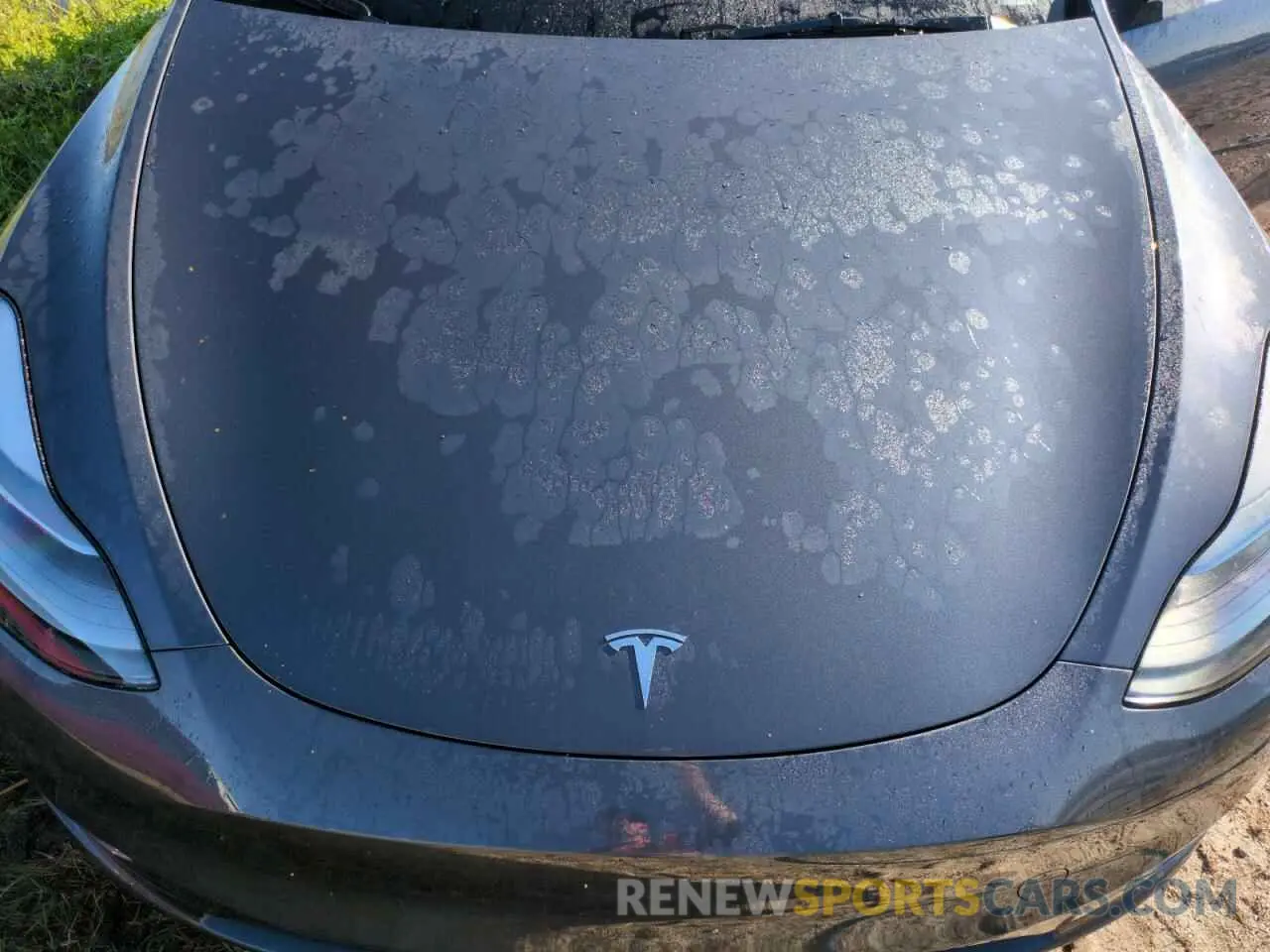12 Фотография поврежденного автомобиля 7SAYGDEE4PA192254 TESLA MODEL Y 2023