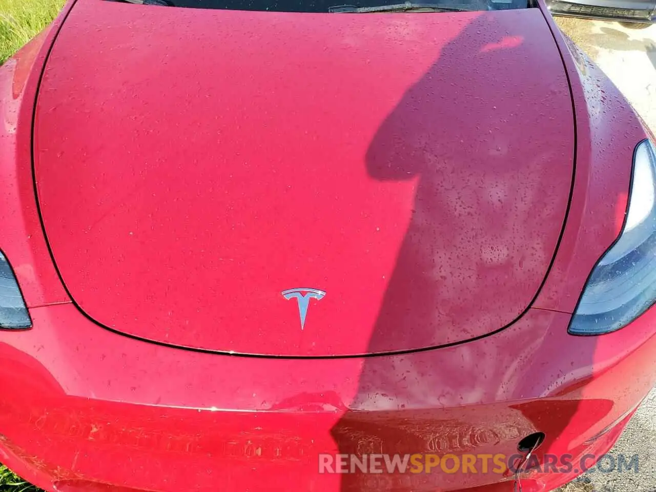 12 Photograph of a damaged car 7SAYGDEE4PF606555 TESLA MODEL Y 2023