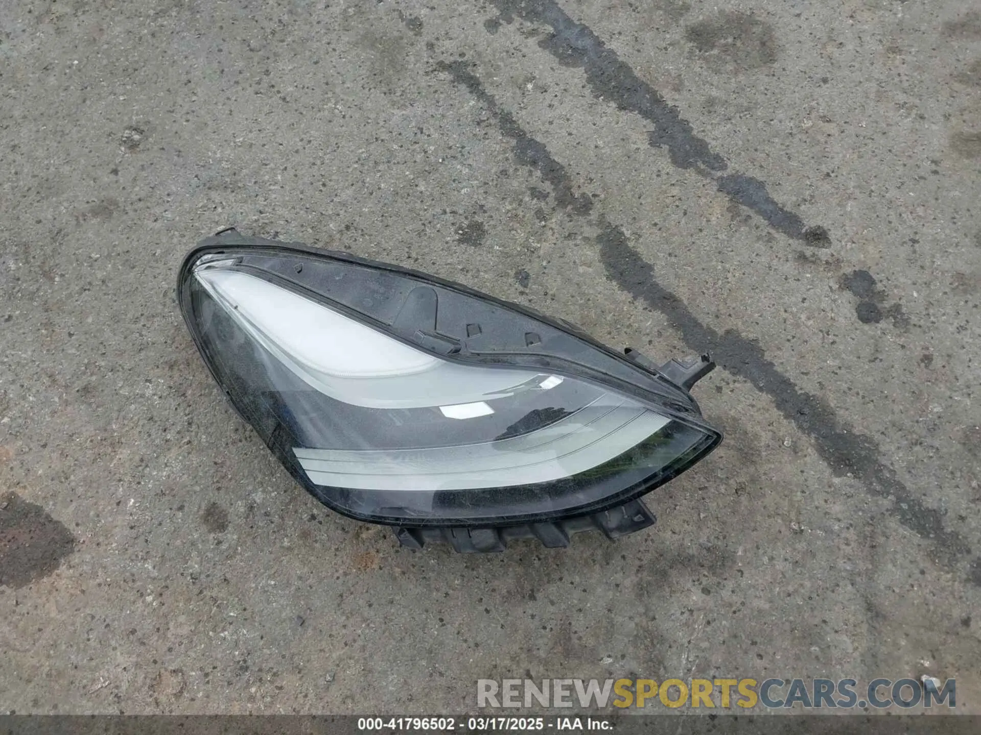 12 Photograph of a damaged car 7SAYGDEE4PF621640 TESLA MODEL Y 2023