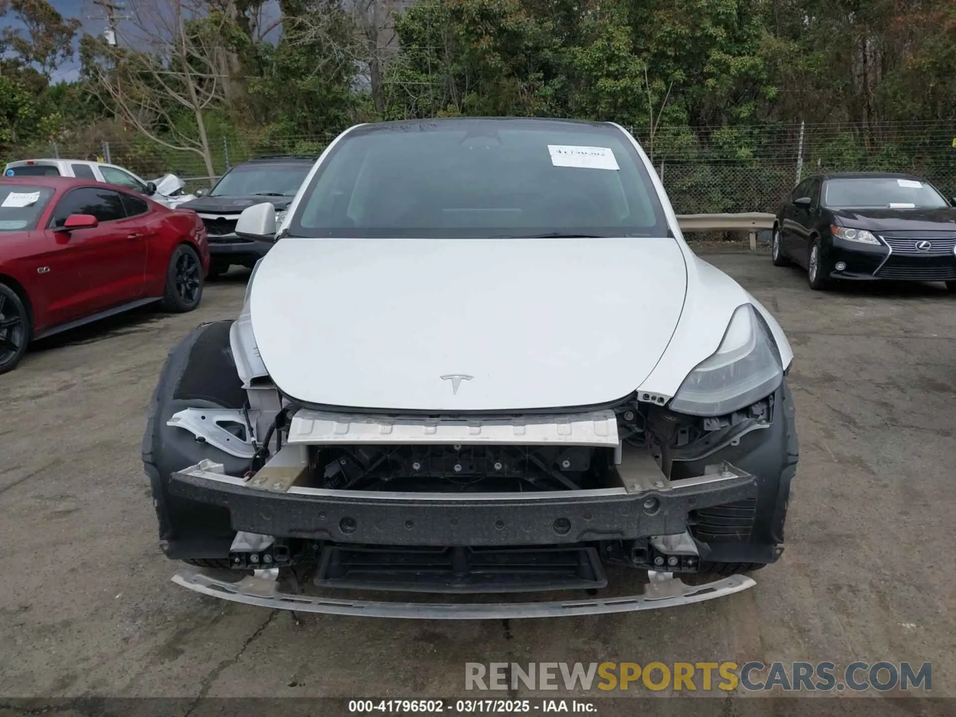 13 Photograph of a damaged car 7SAYGDEE4PF621640 TESLA MODEL Y 2023