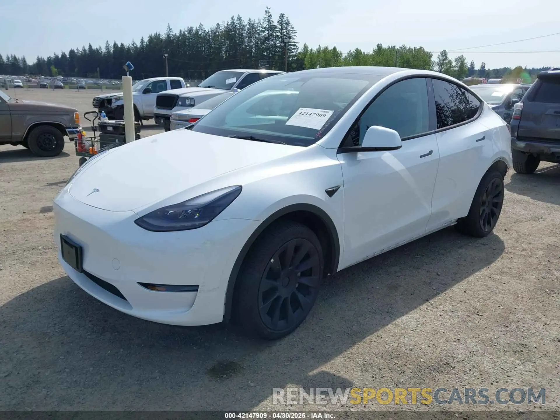 2 Photograph of a damaged car 7SAYGDEE4PF676167 TESLA MODEL Y 2023