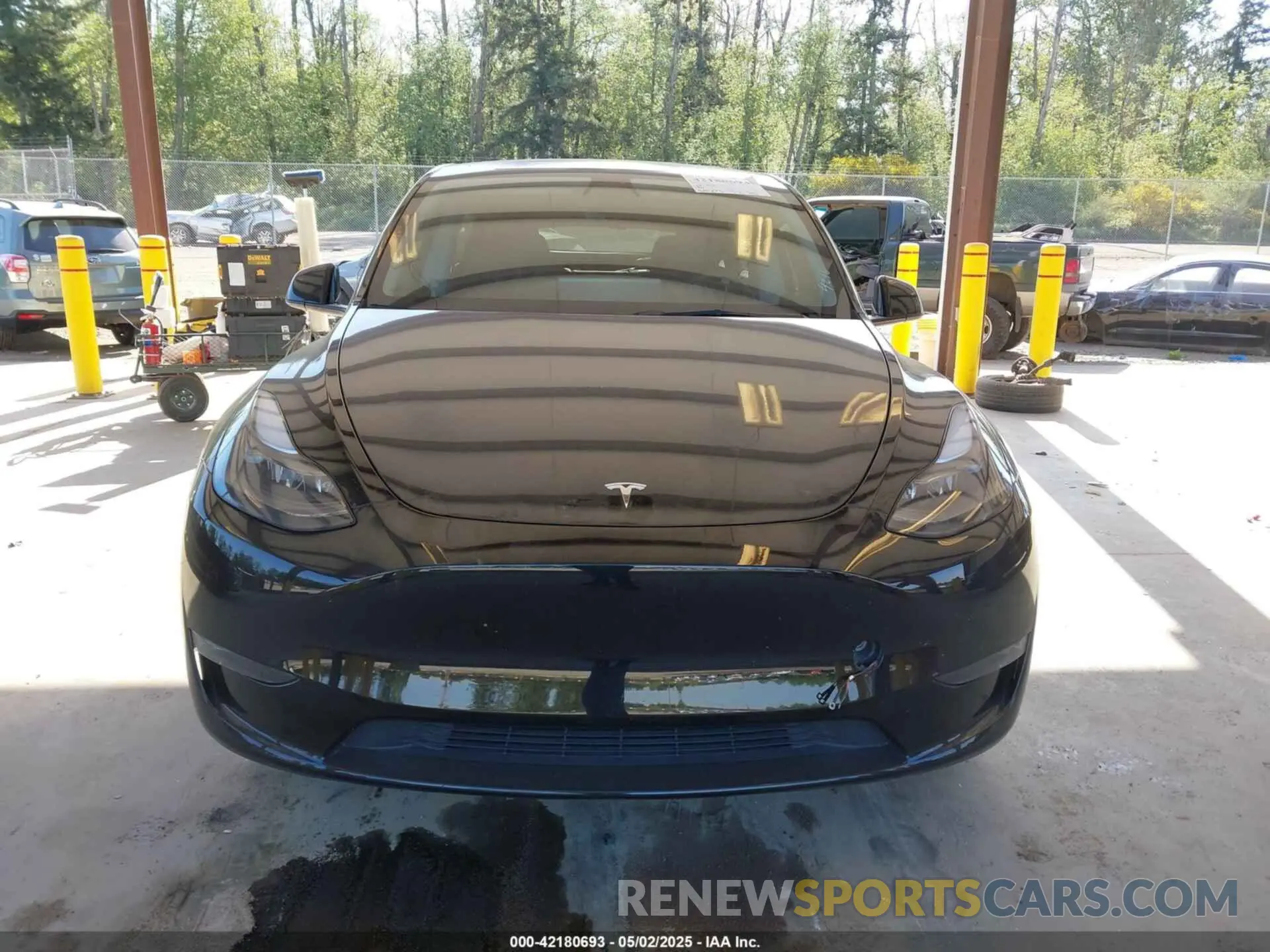 12 Photograph of a damaged car 7SAYGDEE4PF694216 TESLA MODEL Y 2023
