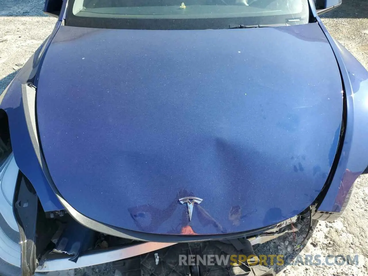 12 Photograph of a damaged car 7SAYGDEE5PA039494 TESLA MODEL Y 2023