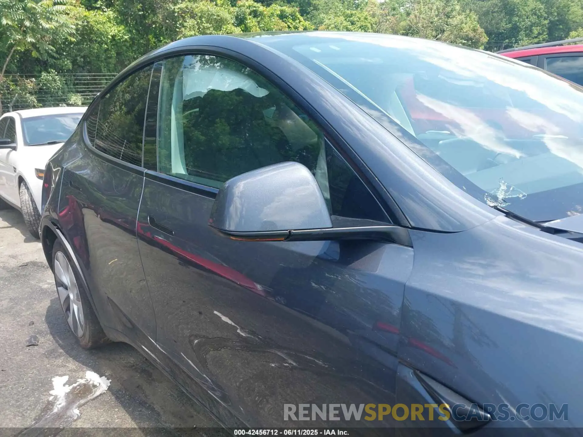 12 Photograph of a damaged car 7SAYGDEE5PA184258 TESLA MODEL Y 2023