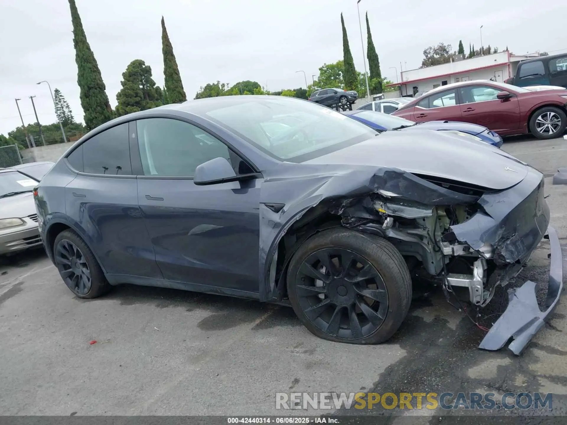 12 Photograph of a damaged car 7SAYGDEE5PF916715 TESLA MODEL Y 2023
