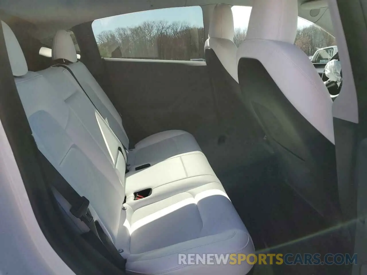 11 Photograph of a damaged car 7SAYGDEE6PA100058 TESLA MODEL Y 2023