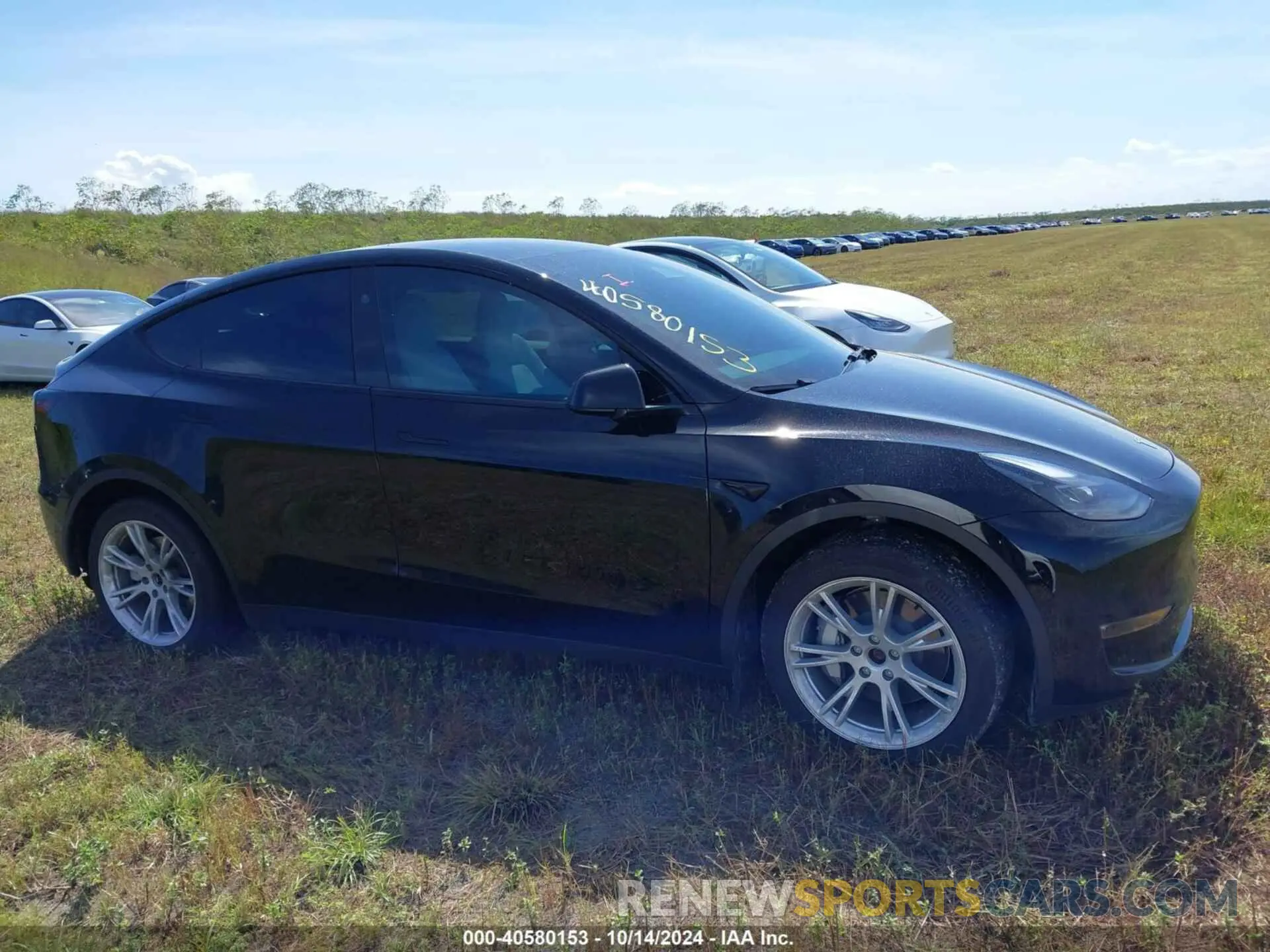 14 Photograph of a damaged car 7SAYGDEE6PF839028 TESLA MODEL Y 2023