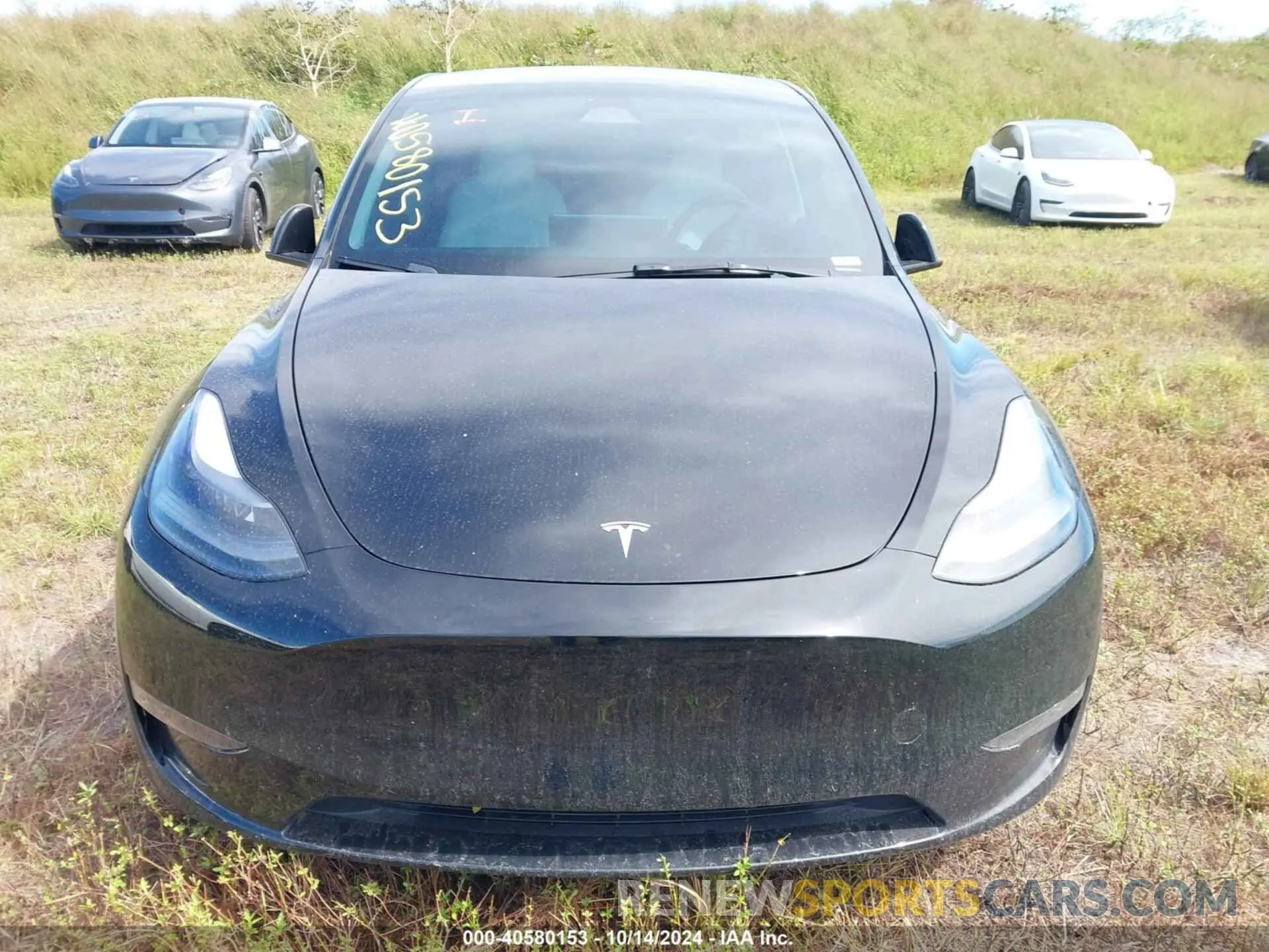 6 Photograph of a damaged car 7SAYGDEE6PF839028 TESLA MODEL Y 2023