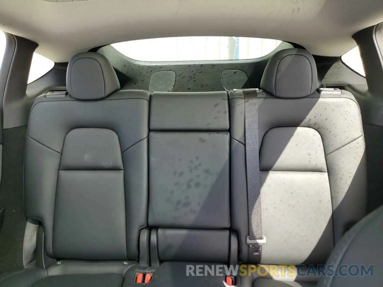 10 Photograph of a damaged car 7SAYGDEE7PA041117 TESLA MODEL Y 2023