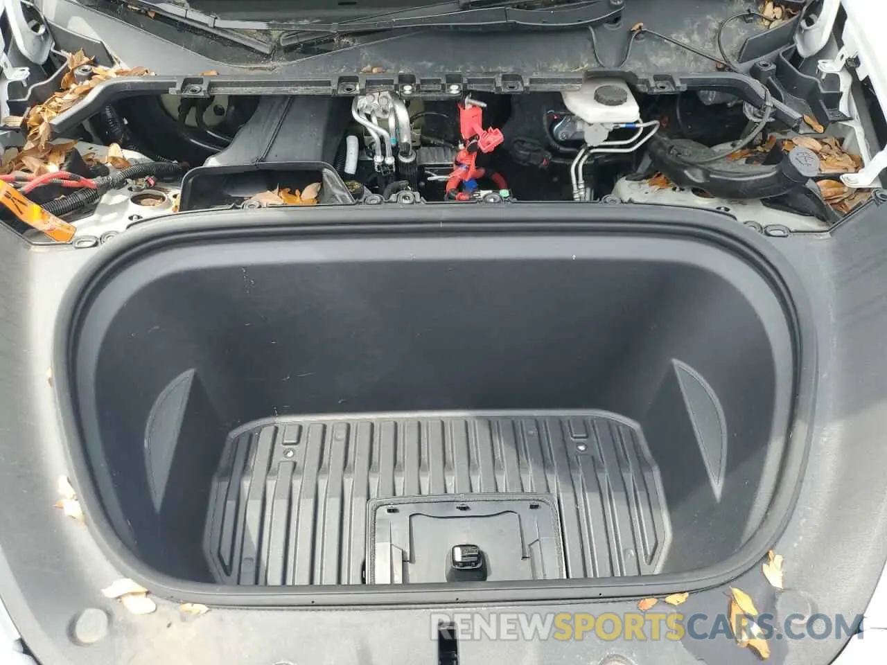 11 Photograph of a damaged car 7SAYGDEE7PA093279 TESLA MODEL Y 2023