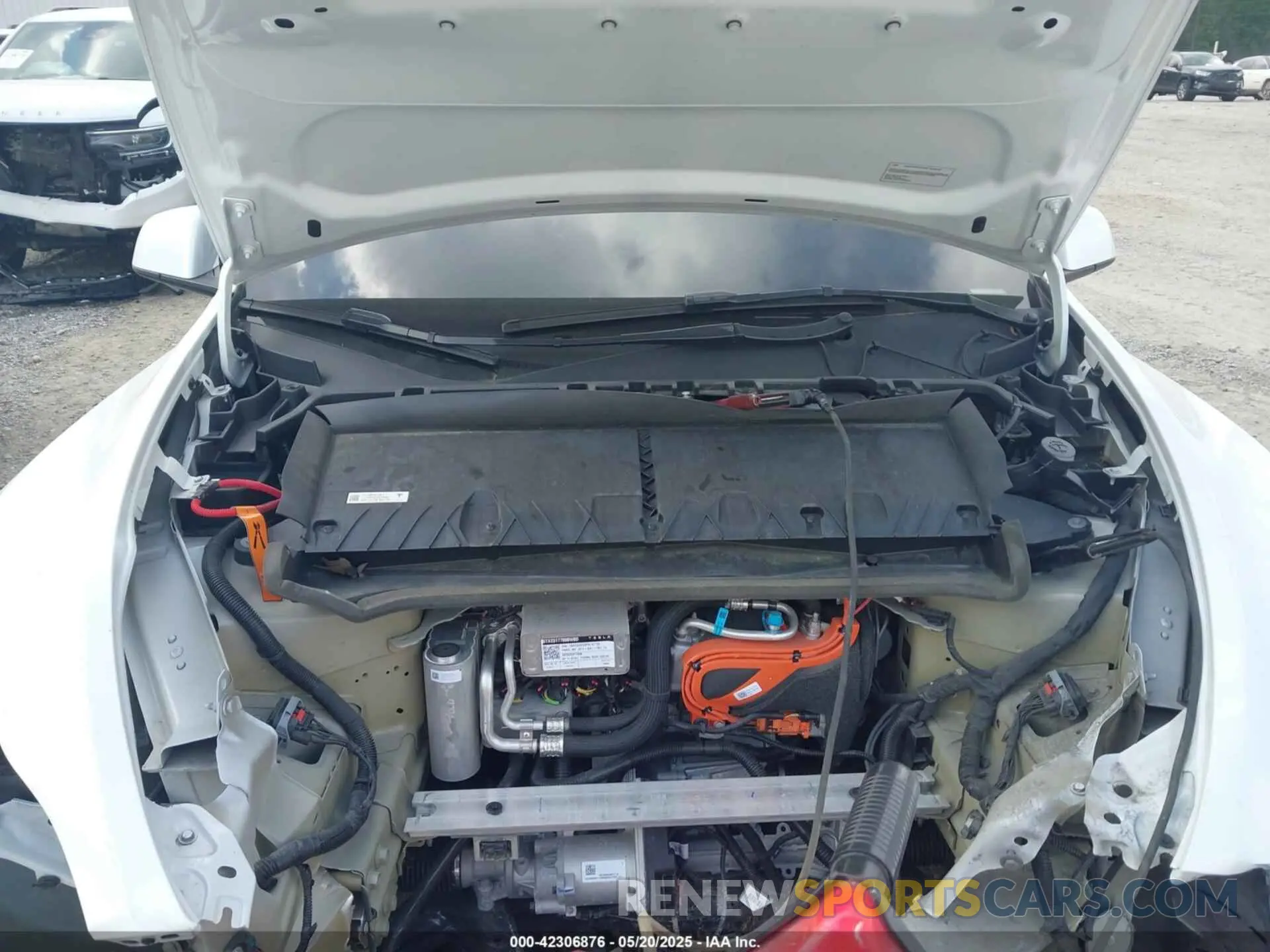 10 Photograph of a damaged car 7SAYGDEE7PA146286 TESLA MODEL Y 2023
