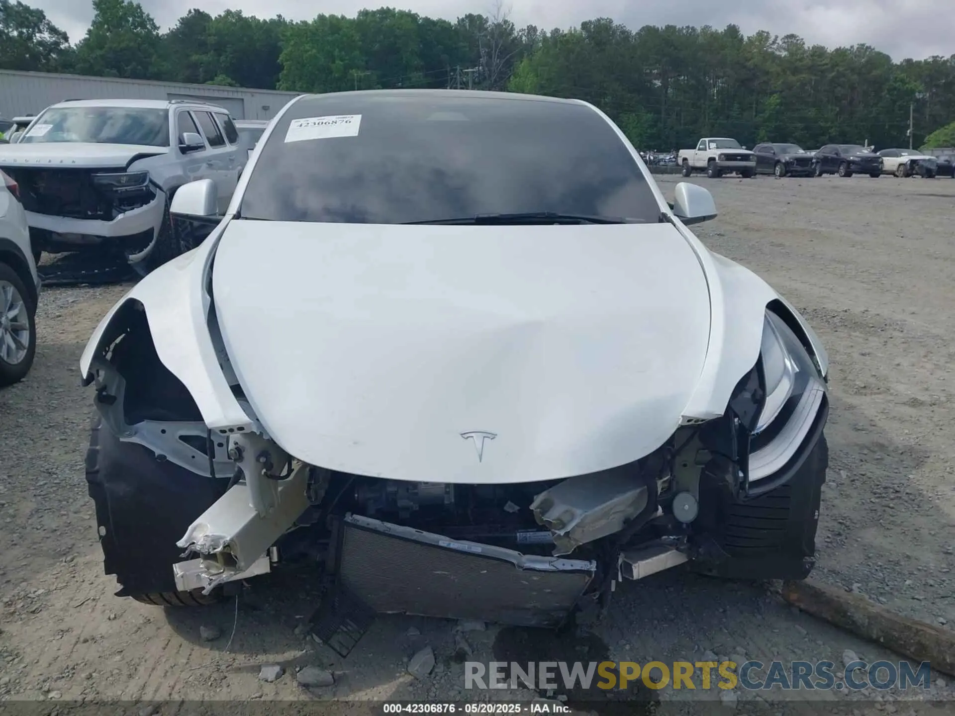 11 Photograph of a damaged car 7SAYGDEE7PA146286 TESLA MODEL Y 2023