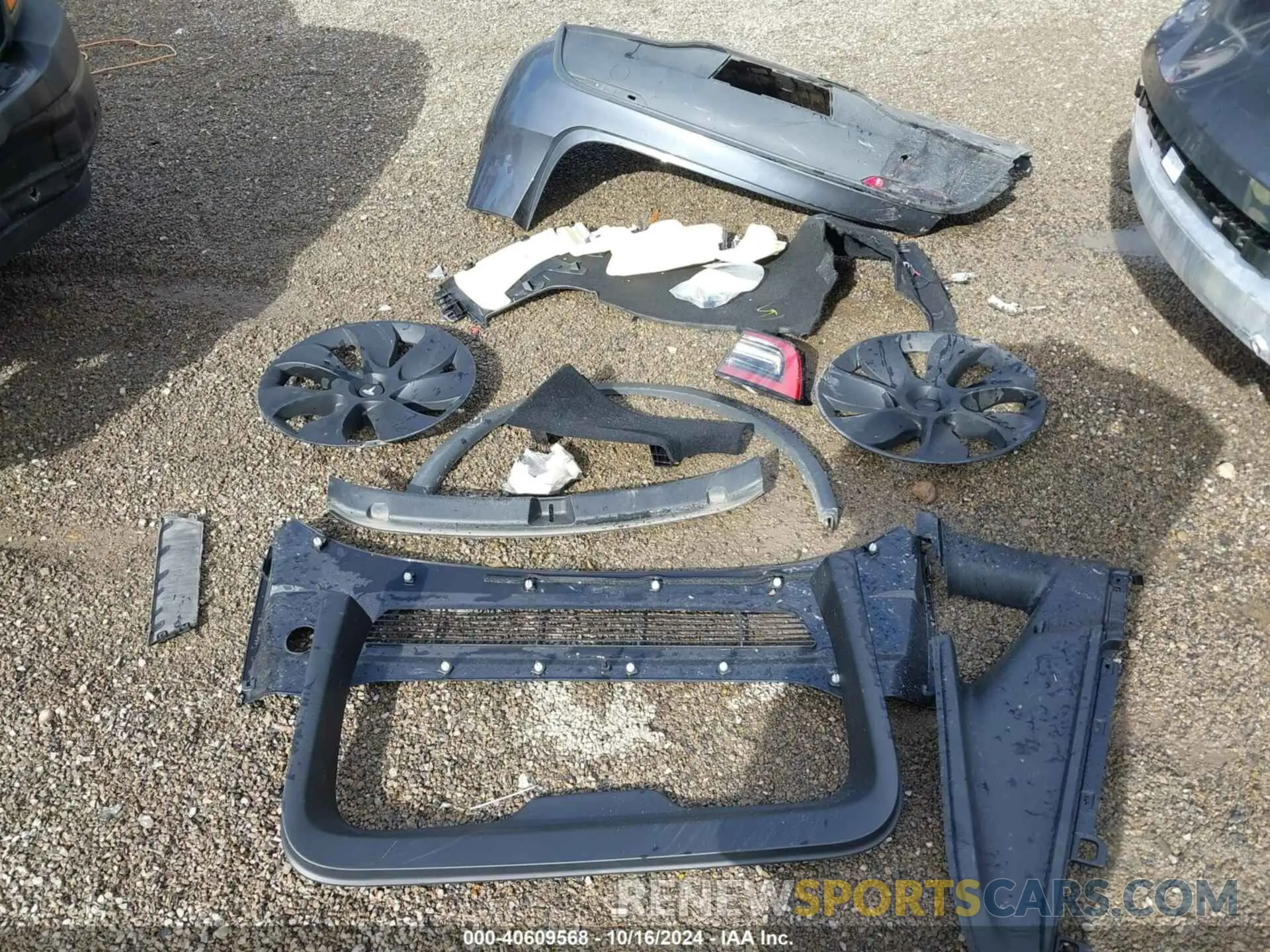 12 Photograph of a damaged car 7SAYGDEE7PA172421 TESLA MODEL Y 2023
