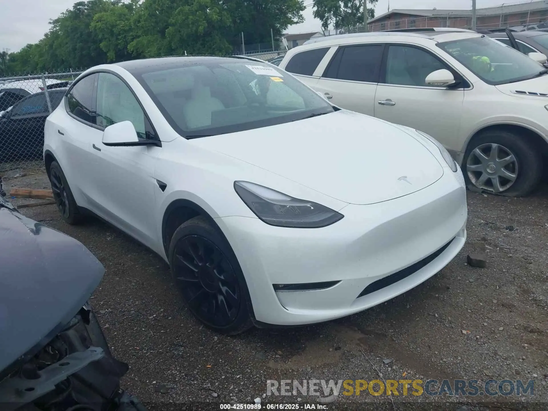 1 Photograph of a damaged car 7SAYGDEE7PF754571 TESLA MODEL Y 2023